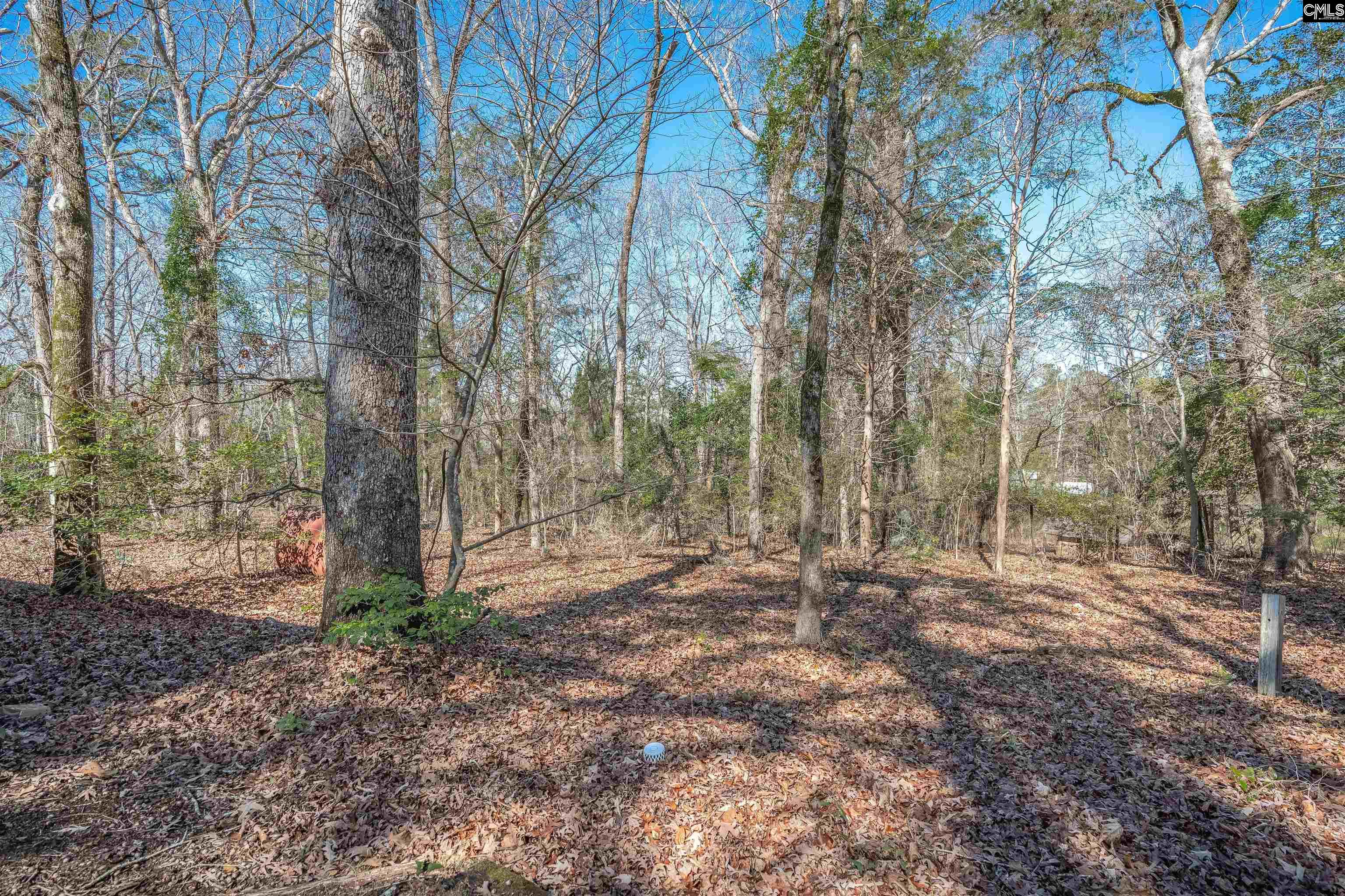 3600 Kennerly Road Irmo, SC 29063