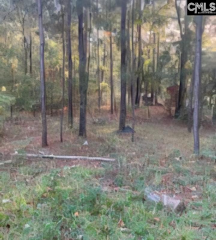 35 Simmons Dr. Camden, SC 29020