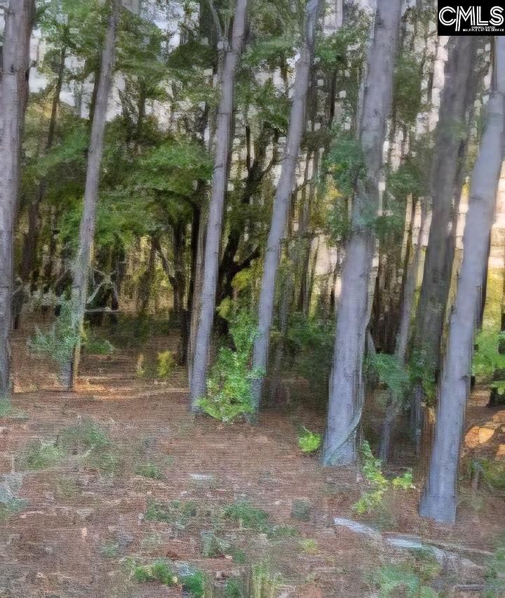 35 Simmons Dr. Camden, SC 29020