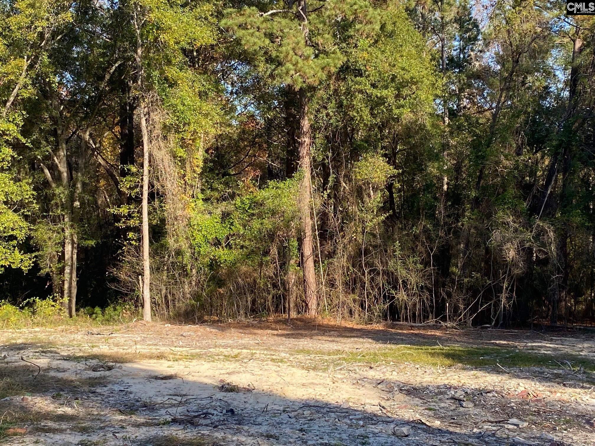 824 Anders Drive Columbia, SC 29203