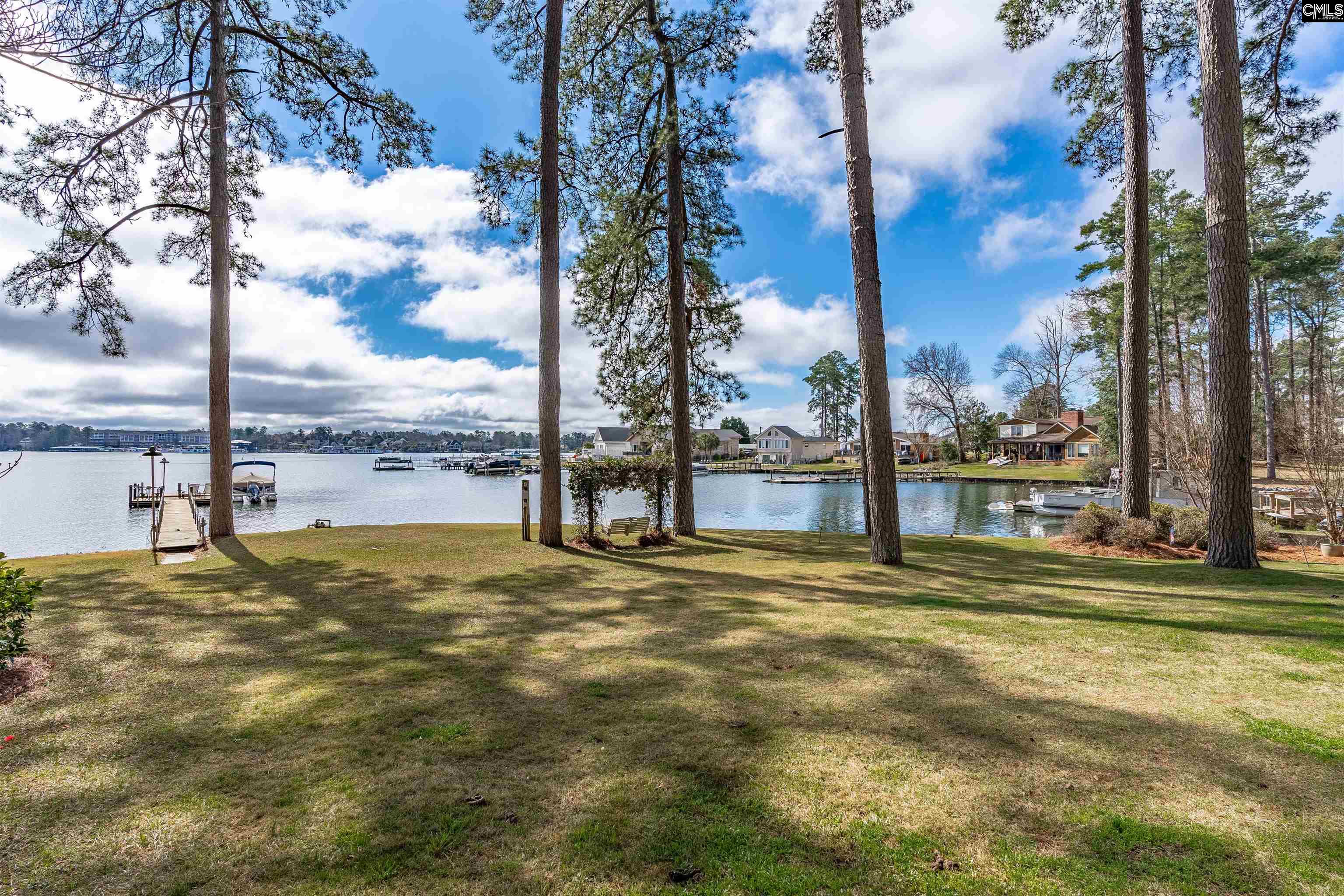 13 East Drive Chapin, SC 29036