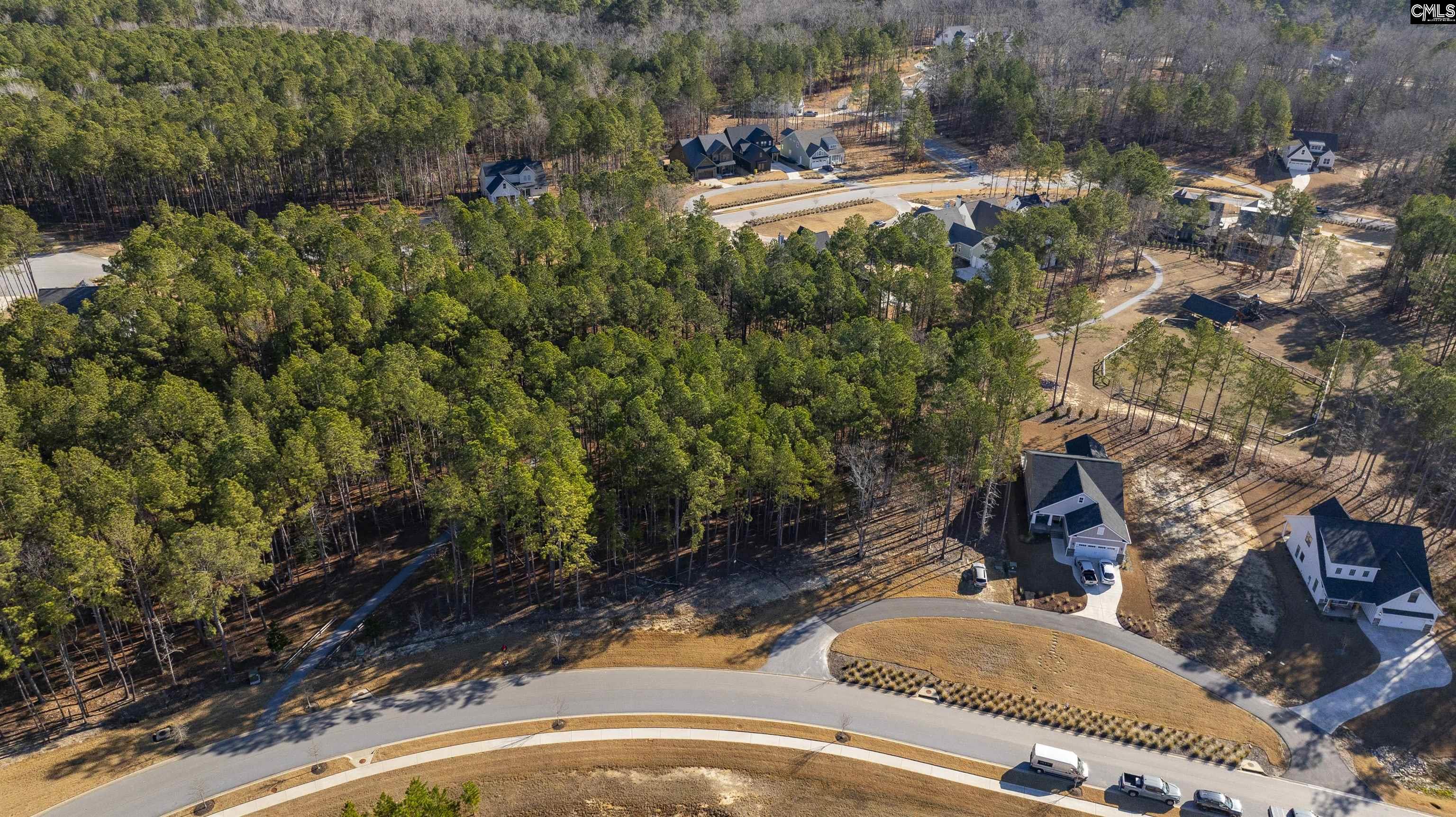 Lot 119 Stewart Landing Drive UNIT #119 Prosperity, SC 29127