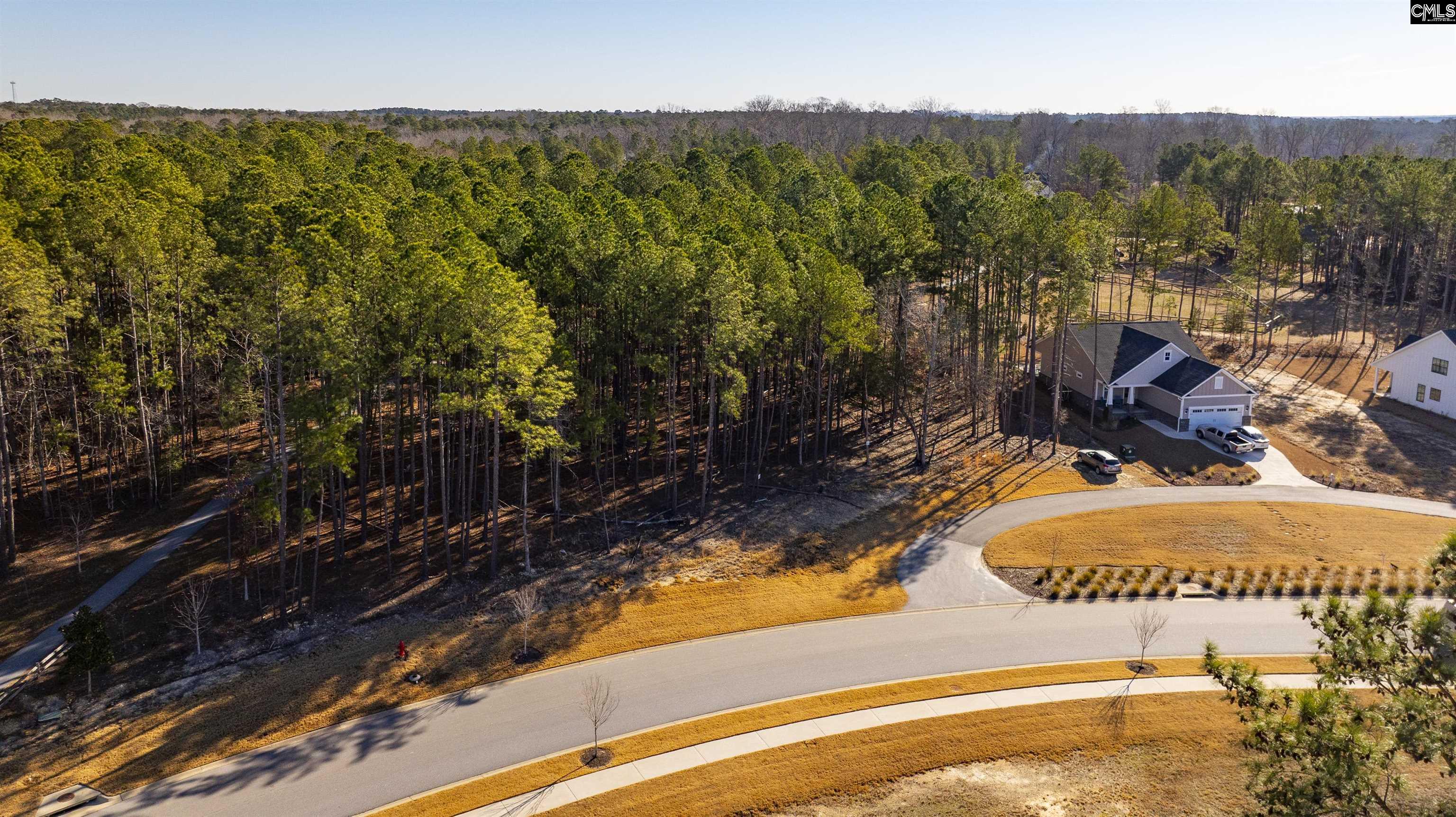 Lot 119 Stewart Landing Drive UNIT #119 Prosperity, SC 29127