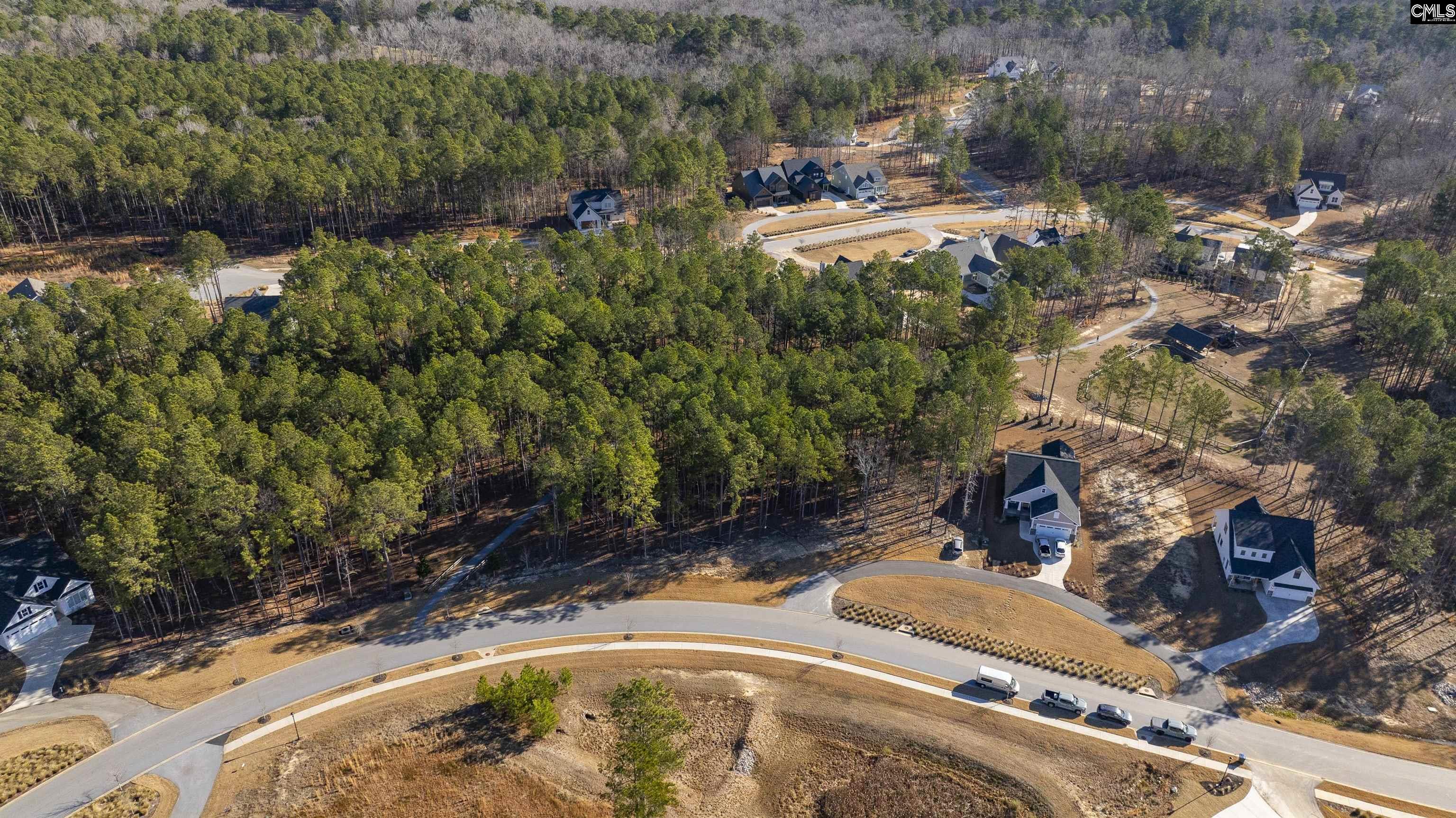 Lot 119 Stewart Landing Drive UNIT #119 Prosperity, SC 29127