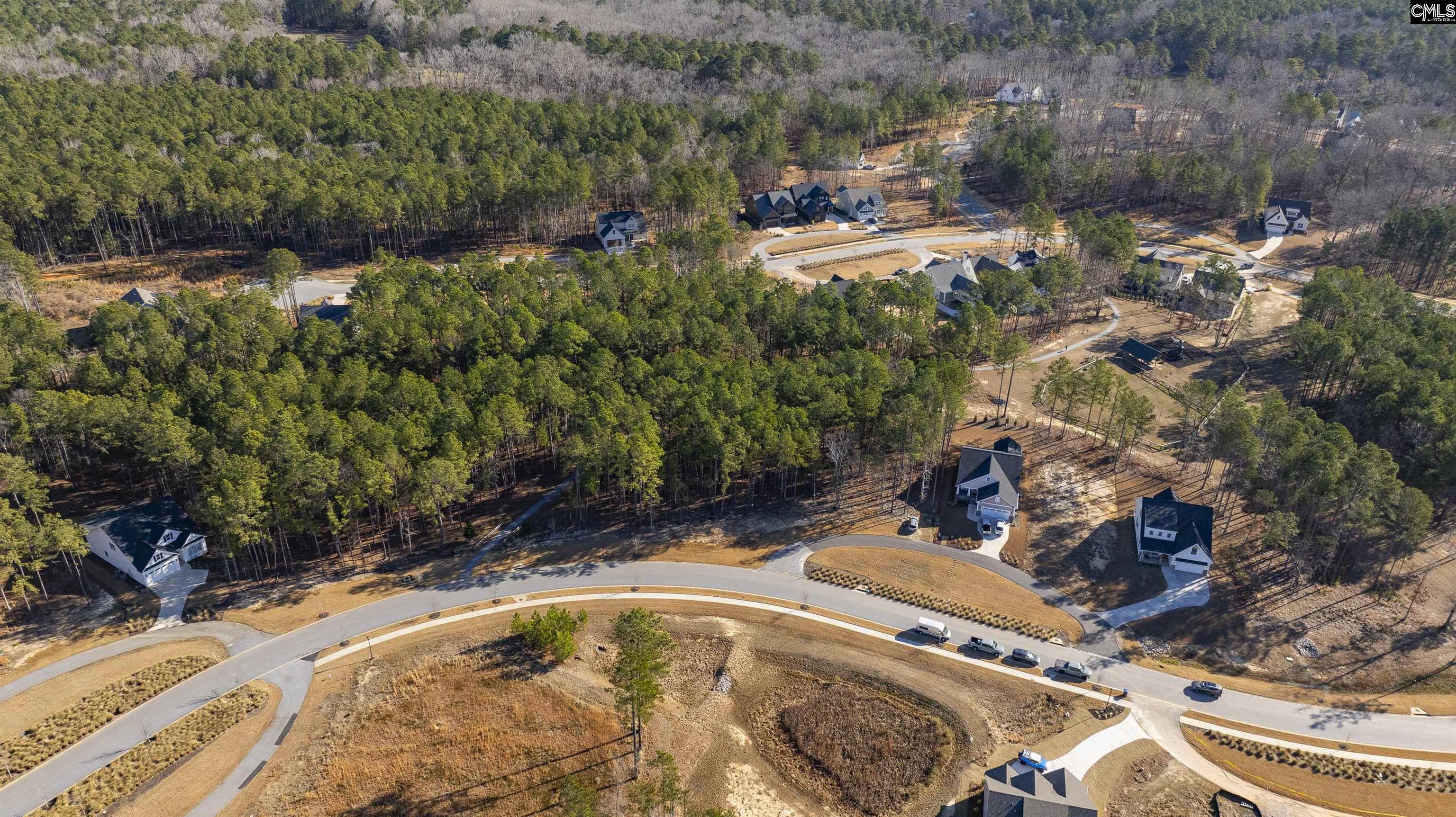 Lot 119 Stewart Landing Drive UNIT #119 Prosperity, SC 29127