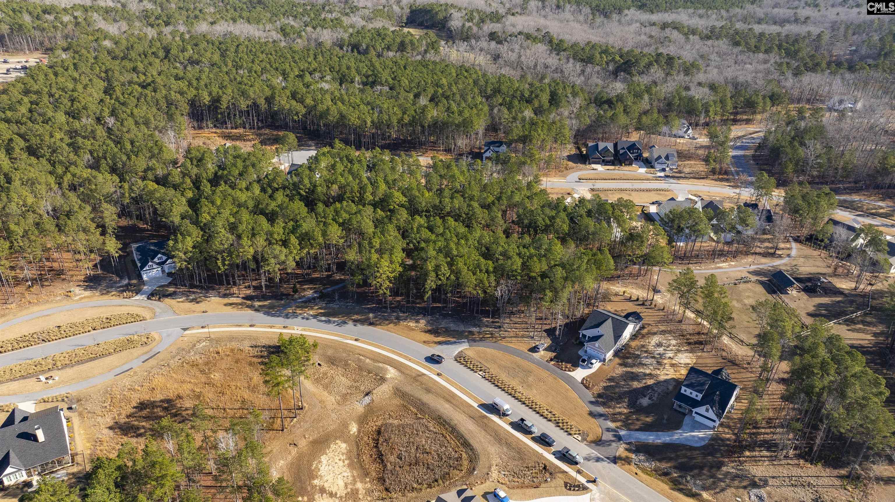 Lot 119 Stewart Landing Drive UNIT #119 Prosperity, SC 29127