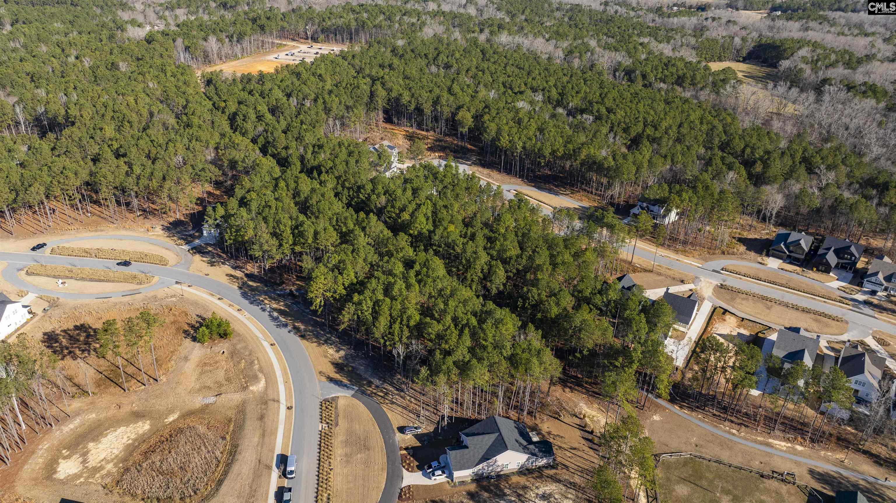 Lot 119 Stewart Landing Drive UNIT #119 Prosperity, SC 29127