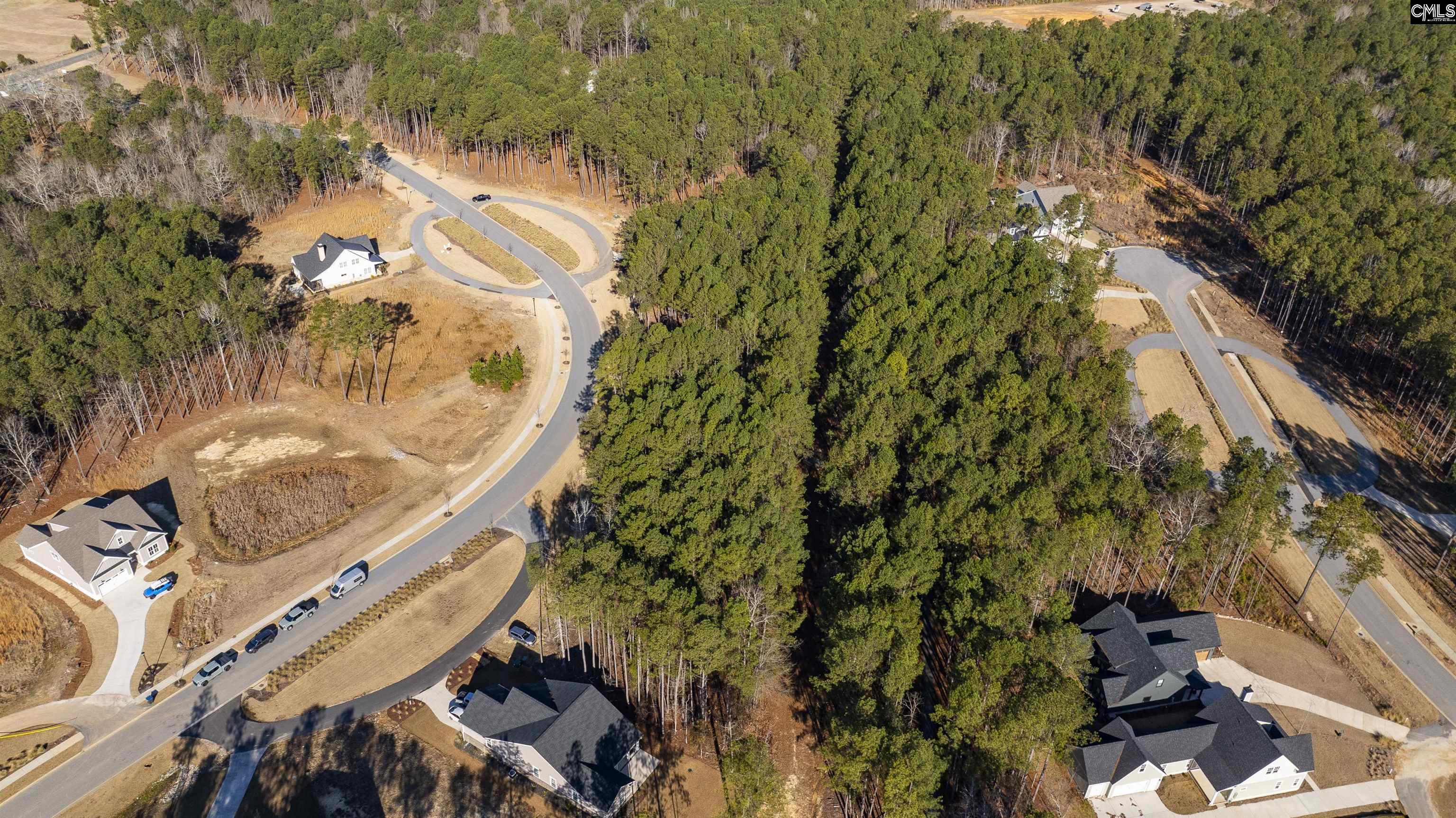 Lot 119 Stewart Landing Drive UNIT #119 Prosperity, SC 29127