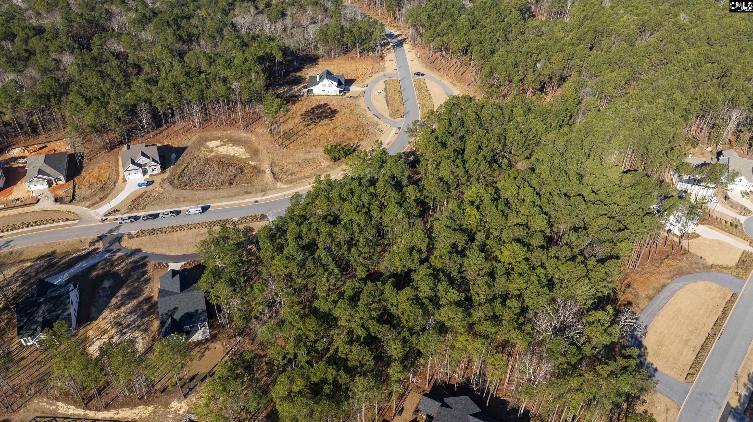 Lot 119 Stewart Landing Drive UNIT #119 Prosperity, SC 29127
