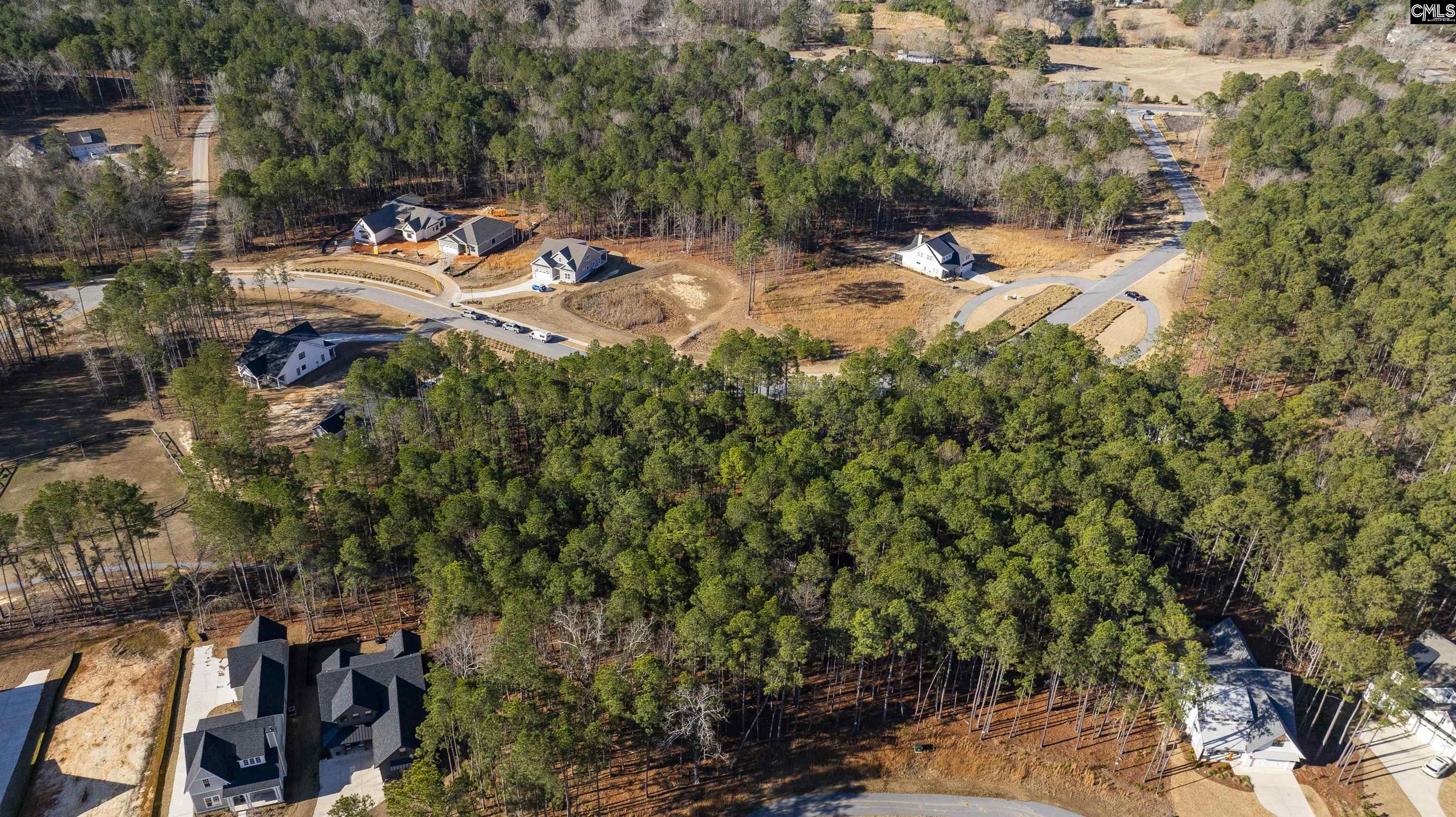 Lot 119 Stewart Landing Drive UNIT #119 Prosperity, SC 29127