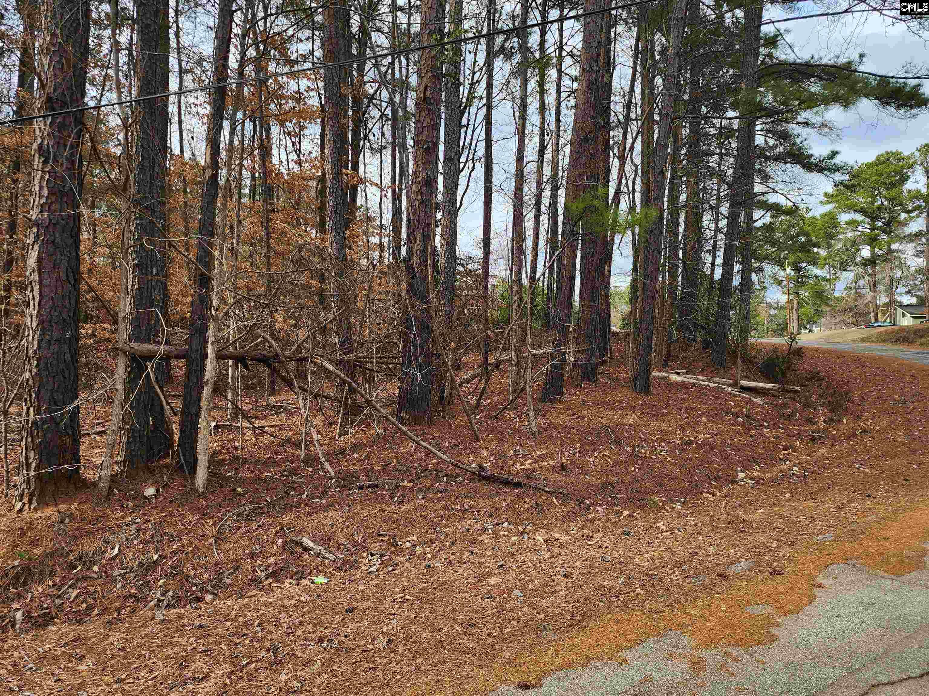 Lot 66 Kingswood Drive Winnsboro, SC 29180