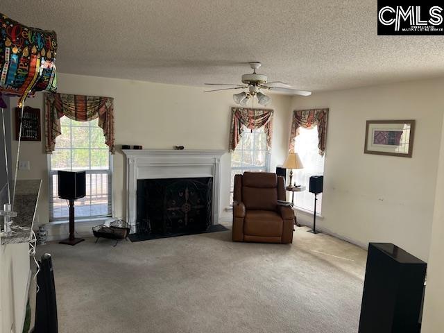 206 Beckworth Lane Irmo, SC 29063