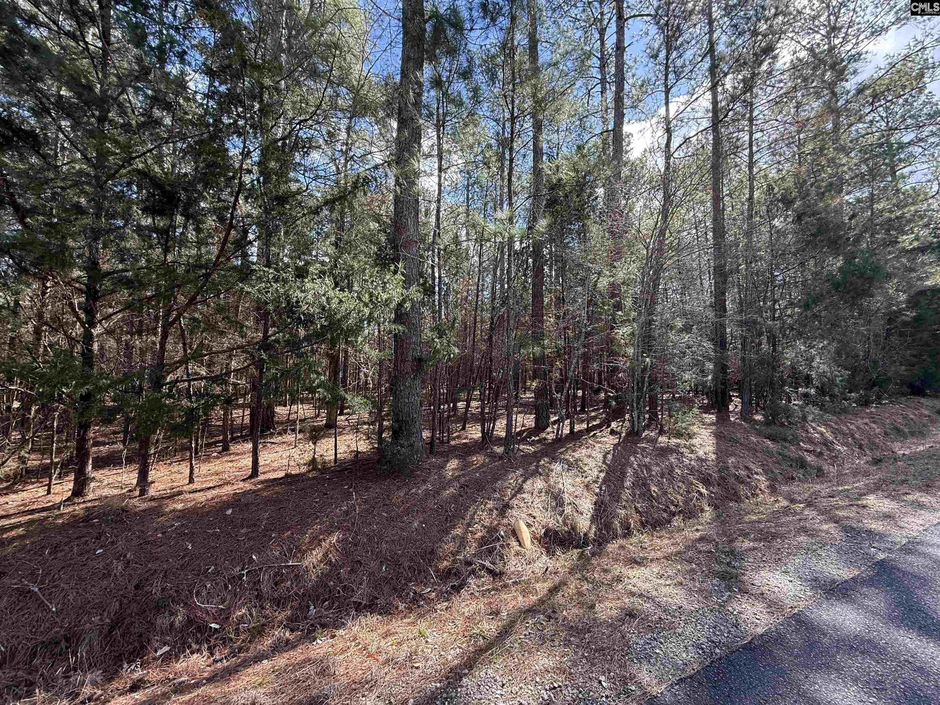 00 Ruby Riser Road UNIT #110 Batesburg, SC 29006