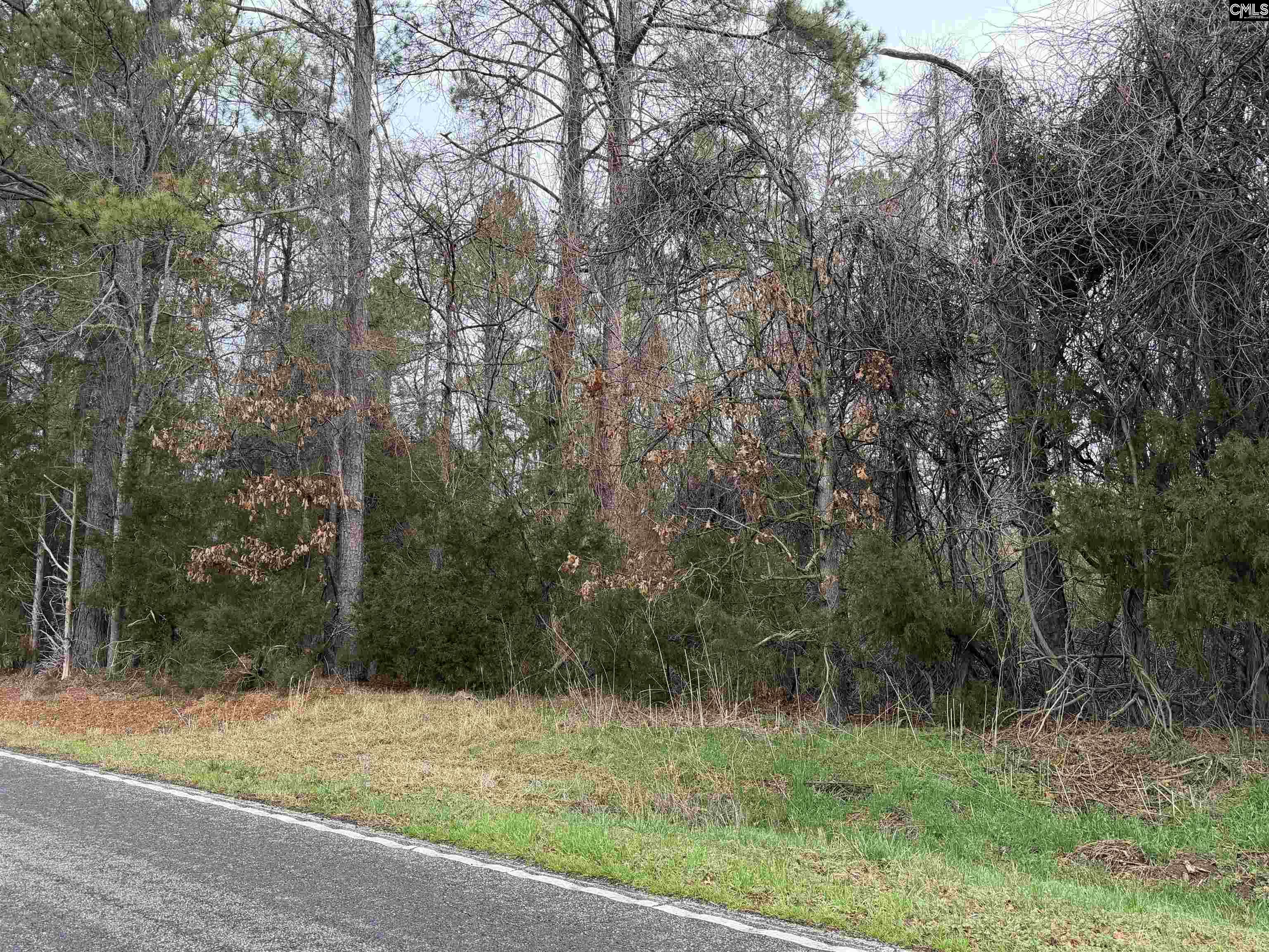 Saint Phillips Chruch Road Prosperity, SC 29127