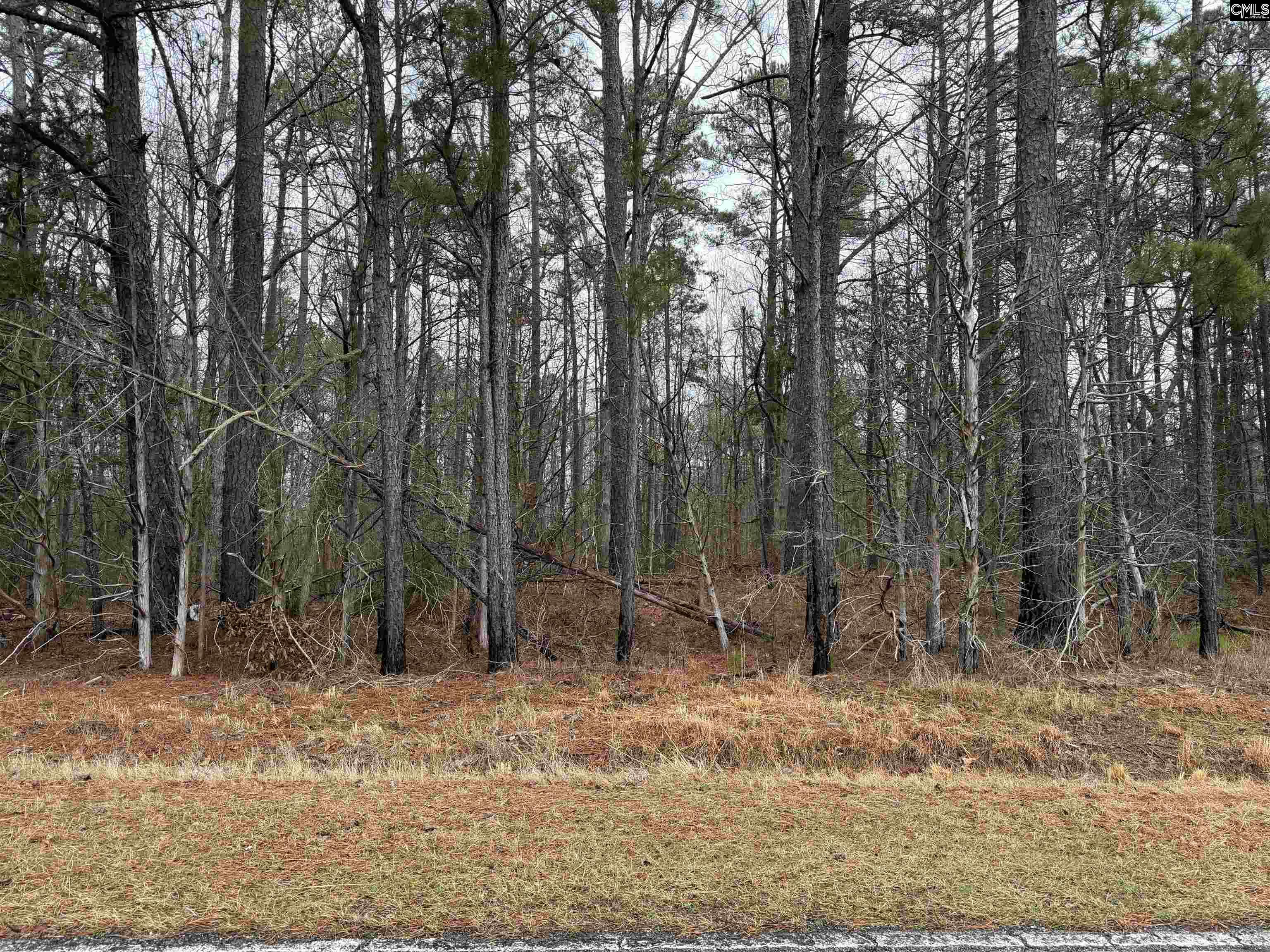 Saint Phillips Chruch Road Prosperity, SC 29127