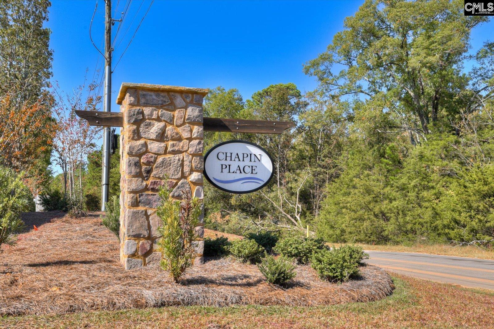 621 Basalt Court Chapin, SC 29036