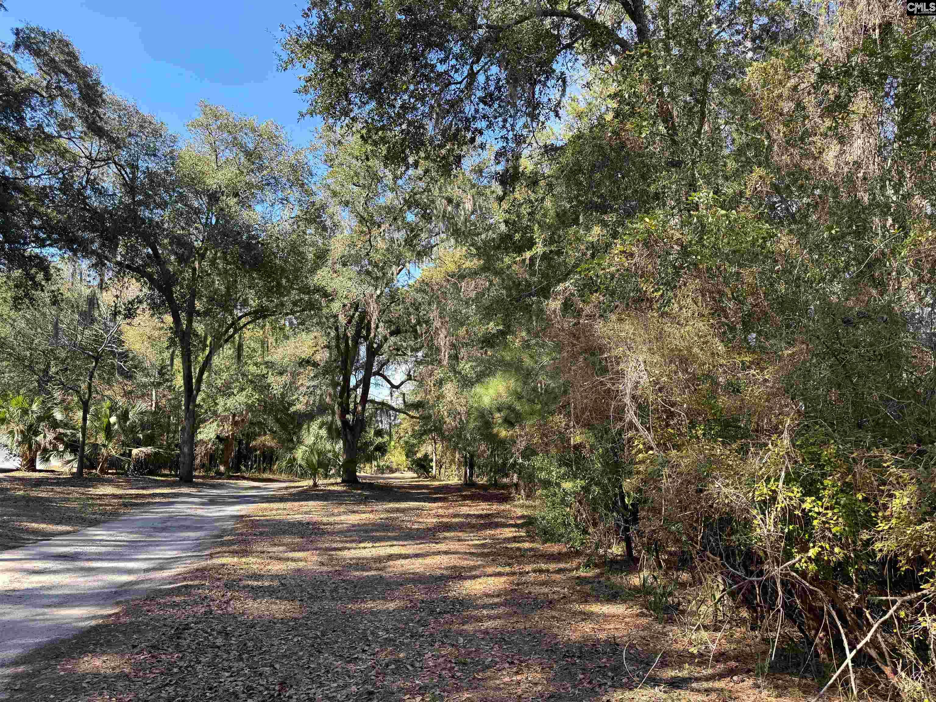 8384 Palmetto Road Edisto Island, SC 29438