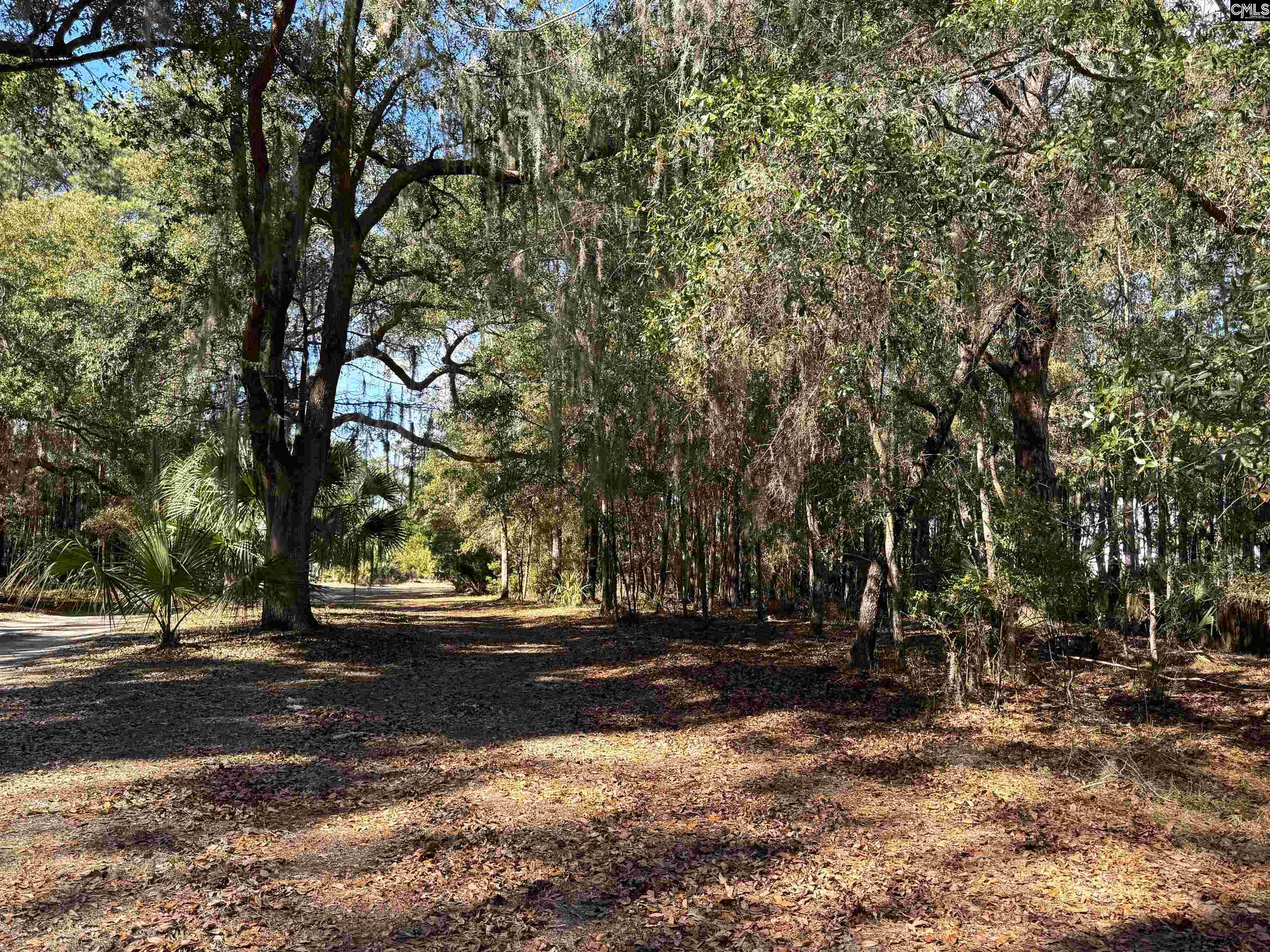 8384 Palmetto Road Edisto Island, SC 29438