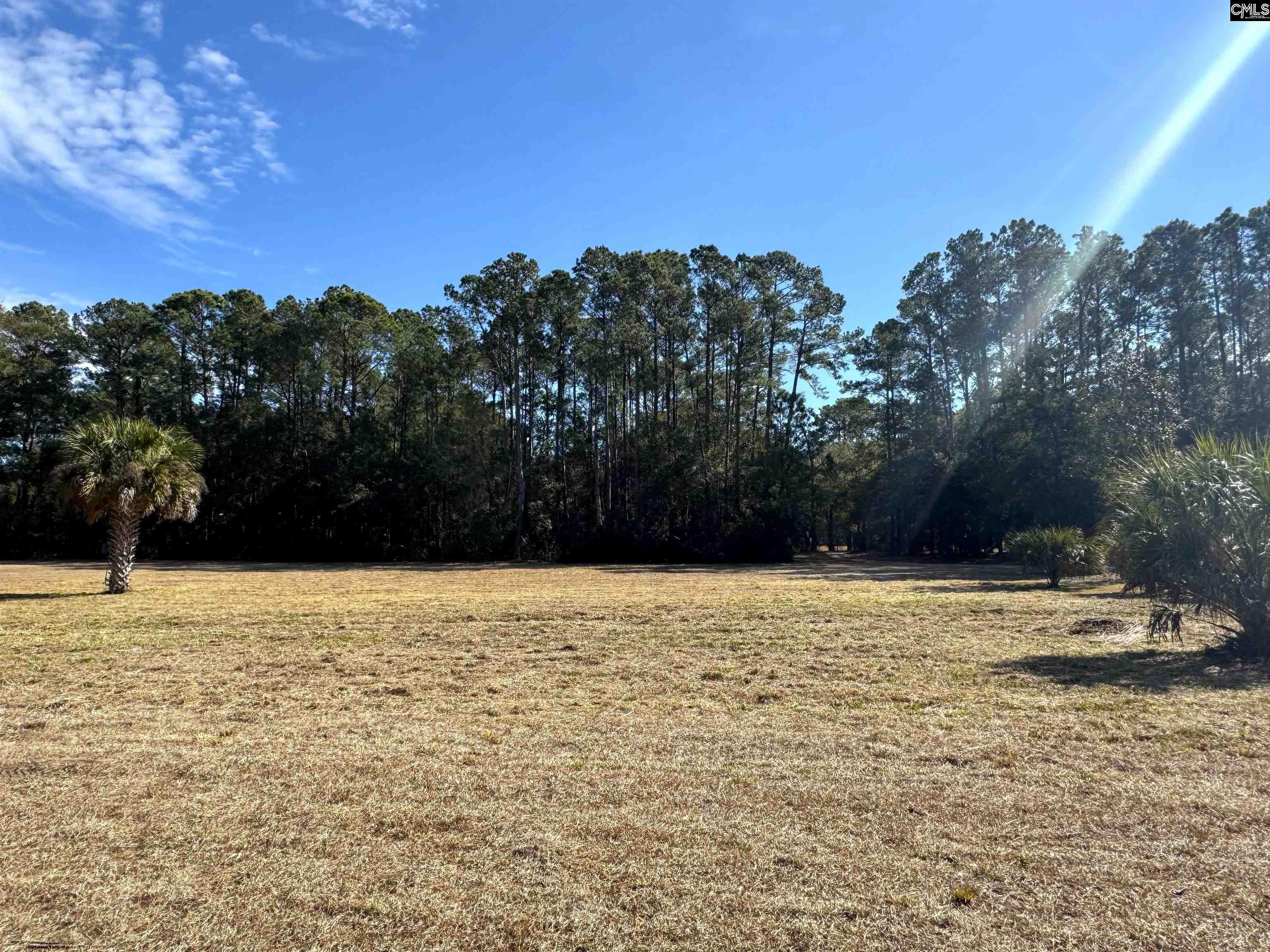 8384 Palmetto Road Edisto Island, SC 29438