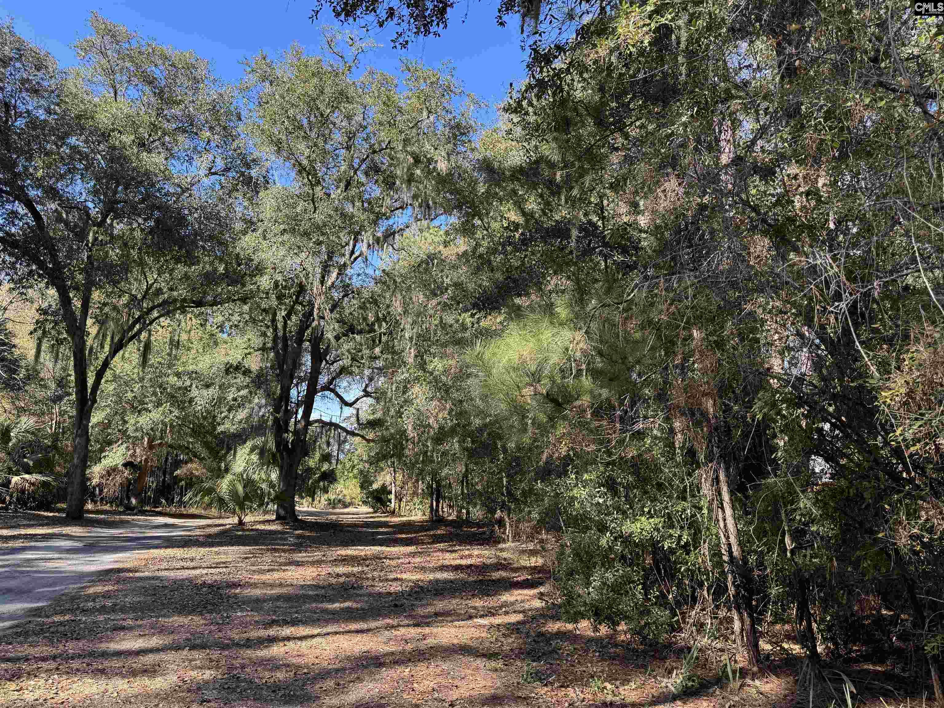 8384 Palmetto Road Edisto Island, SC 29438