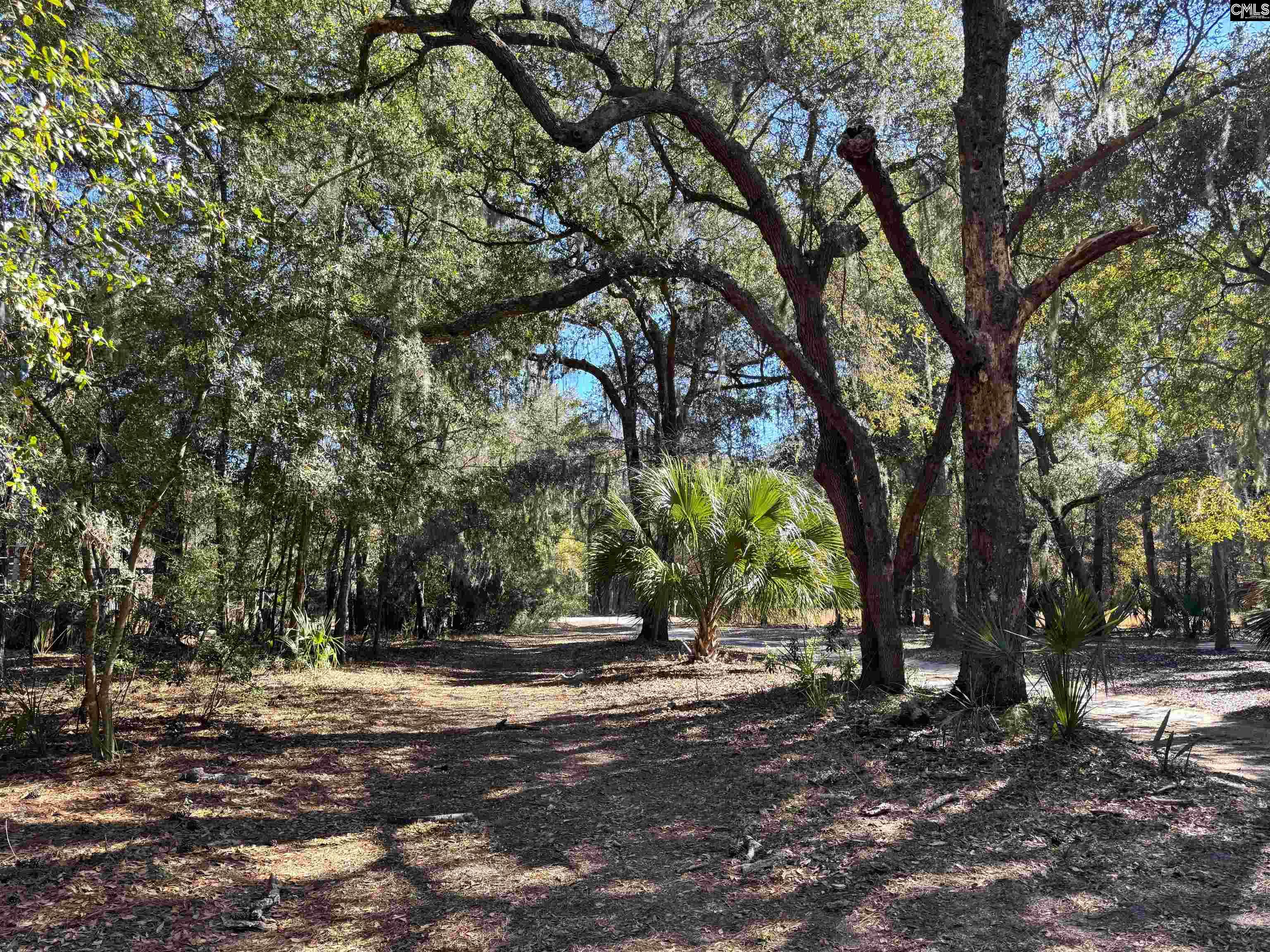 8384 Palmetto Road Edisto Island, SC 29438