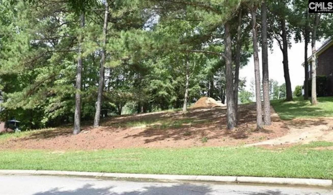 104 Bay Pointe Drive Chapin, SC 29036