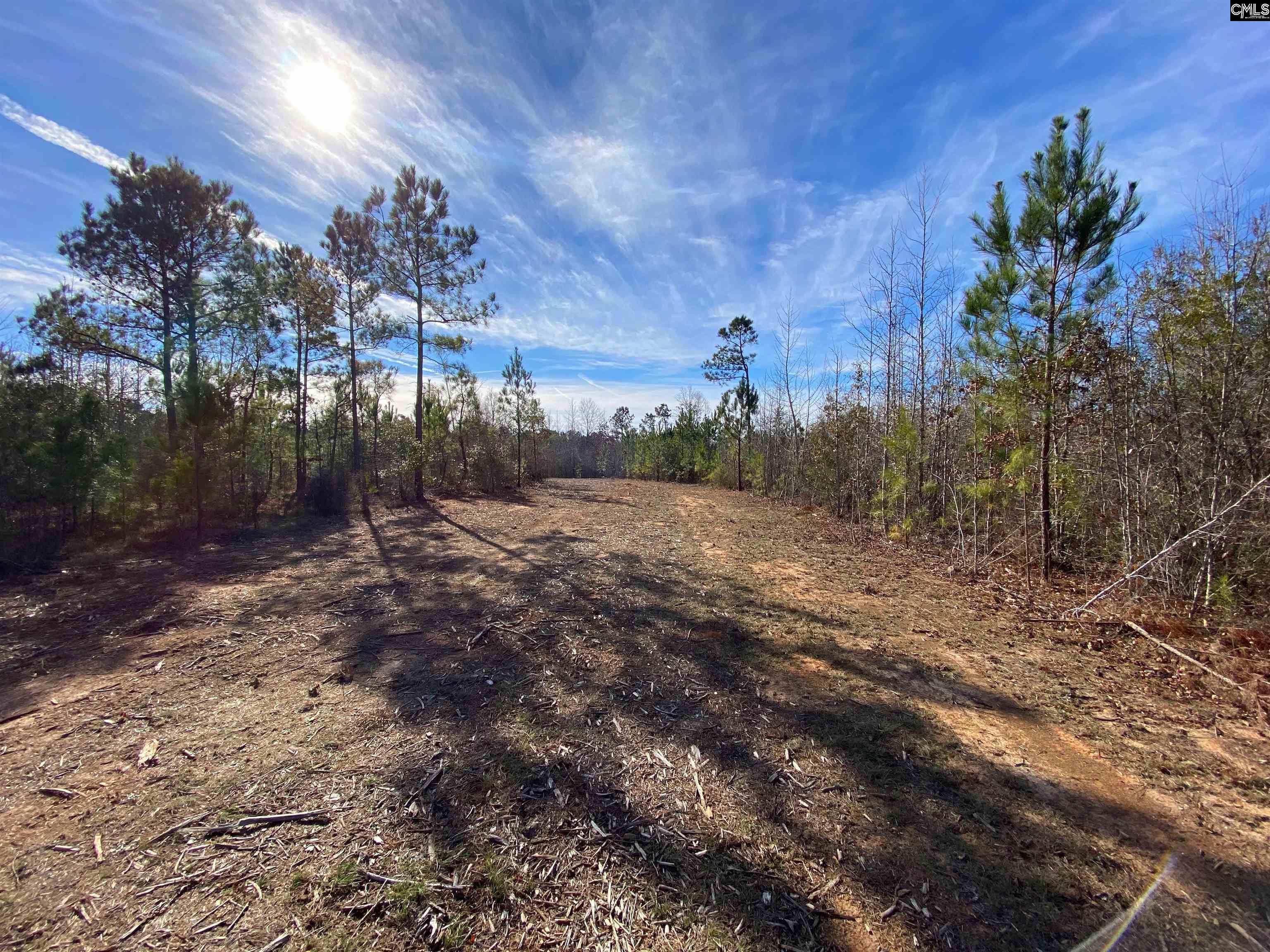 900 Piney Wood Road Saluda, SC 29138