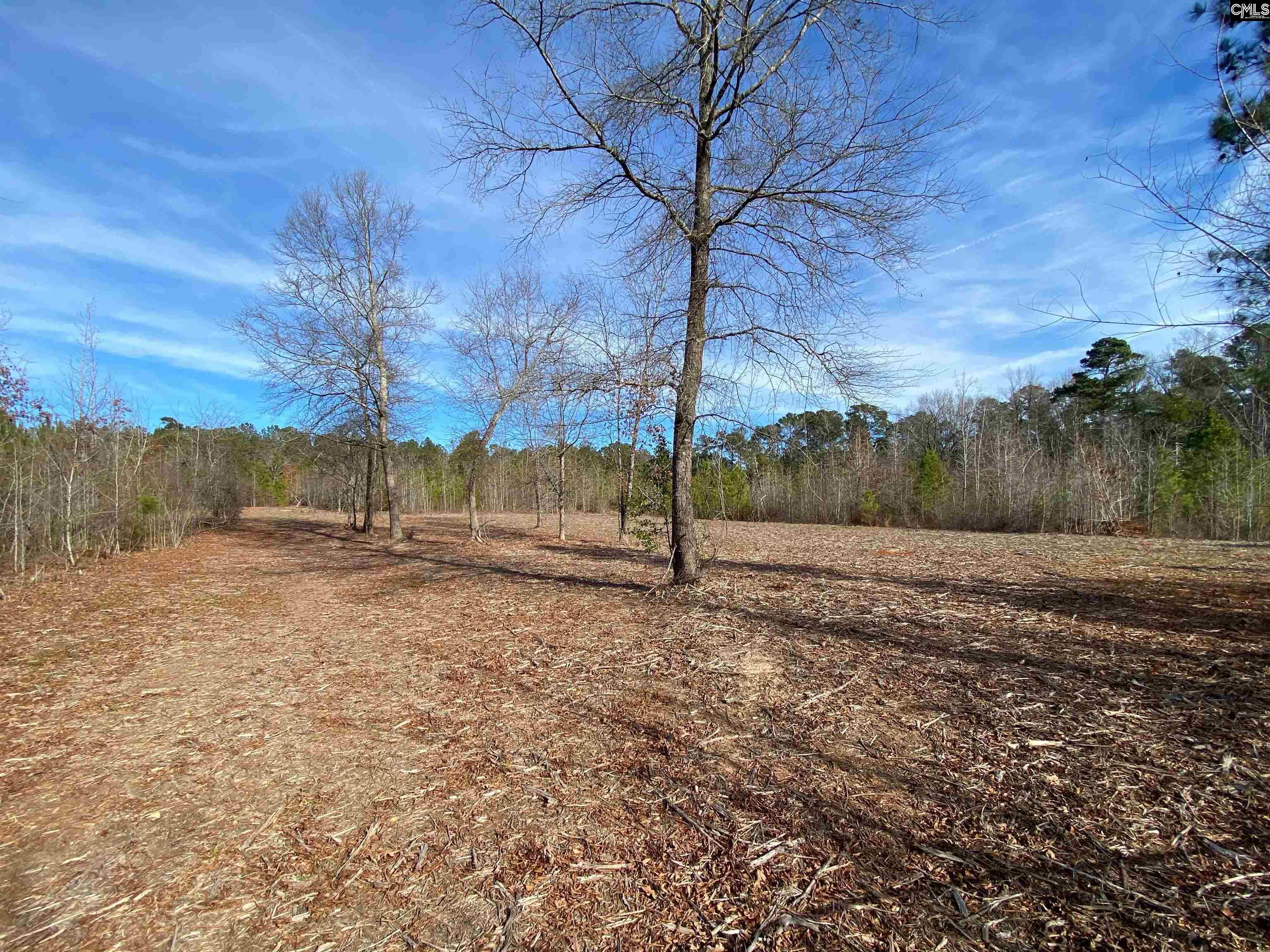 900 Piney Wood Road Saluda, SC 29138