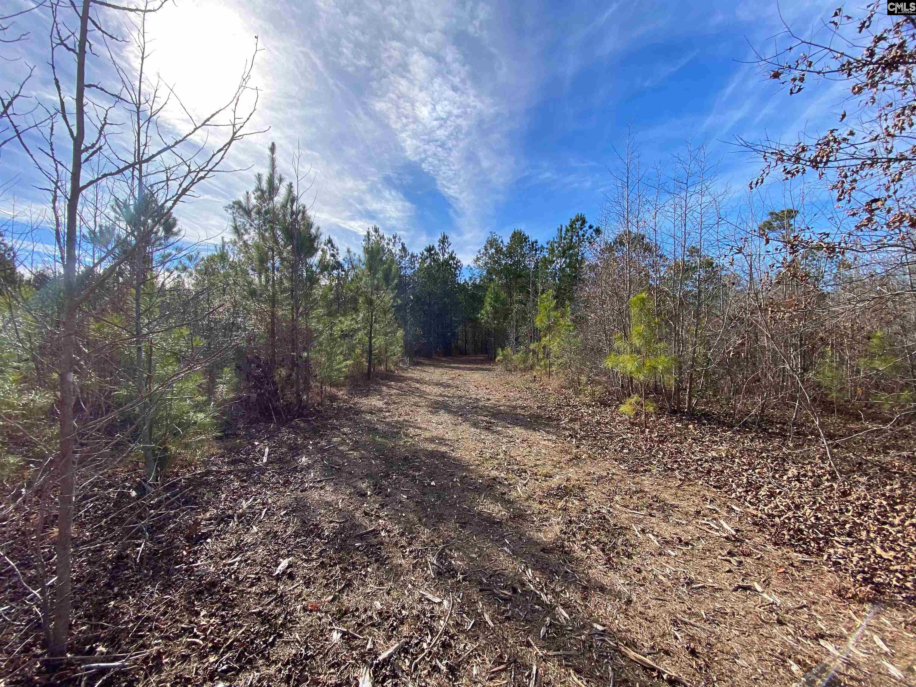 900 Piney Wood Road Saluda, SC 29138