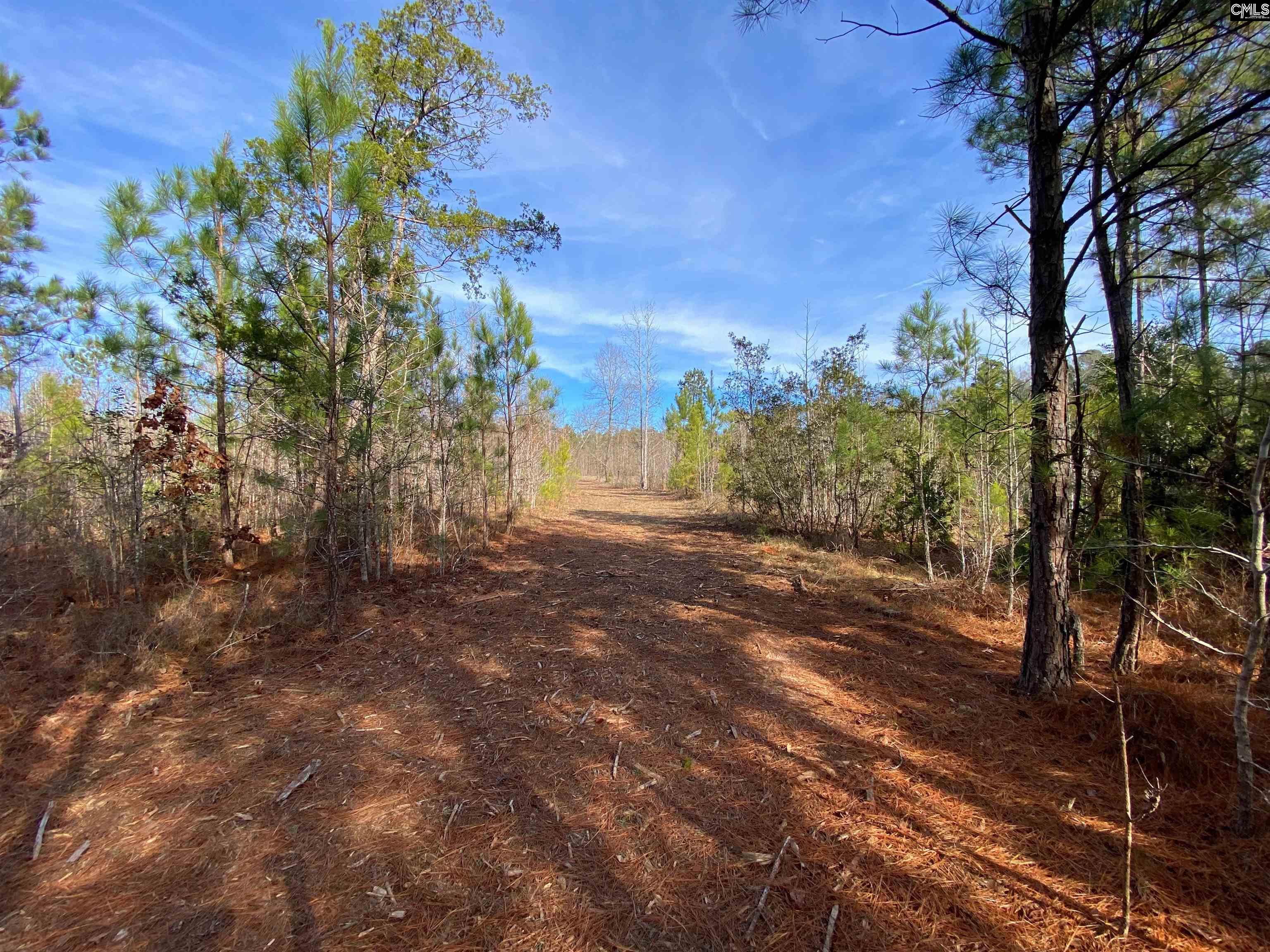 900 Piney Wood Road Saluda, SC 29138