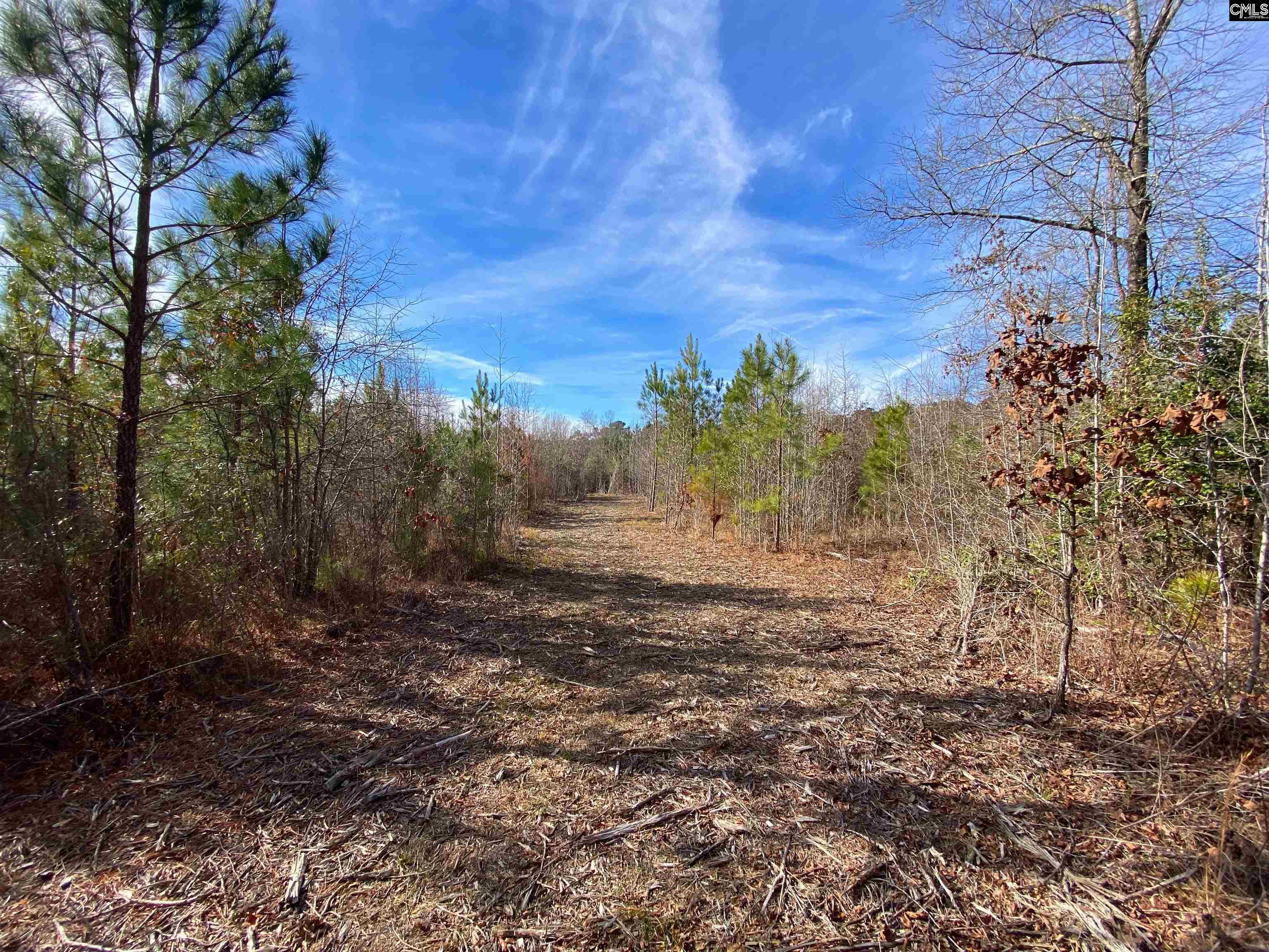 900 Piney Wood Road Saluda, SC 29138
