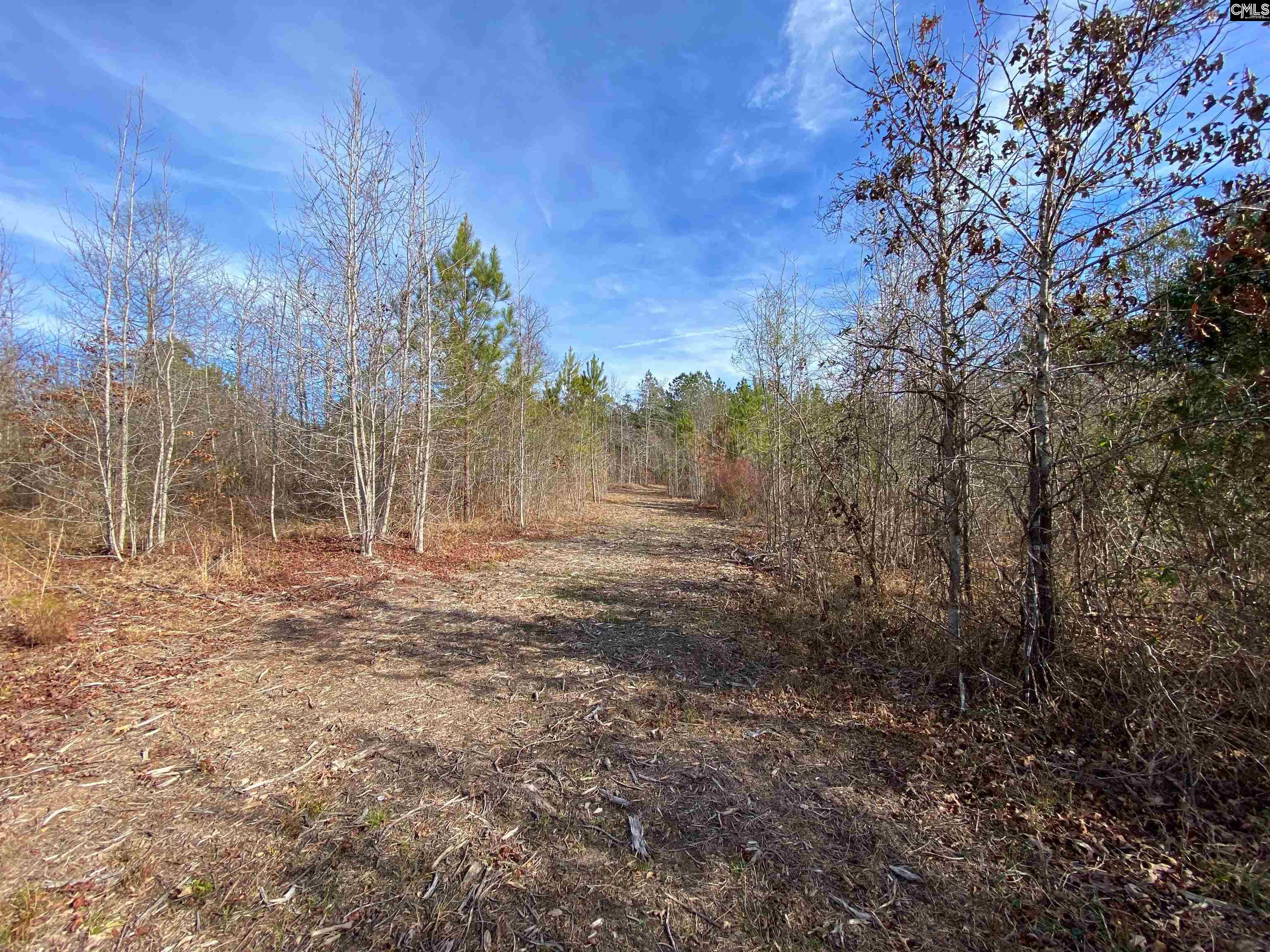 900 Piney Wood Road Saluda, SC 29138