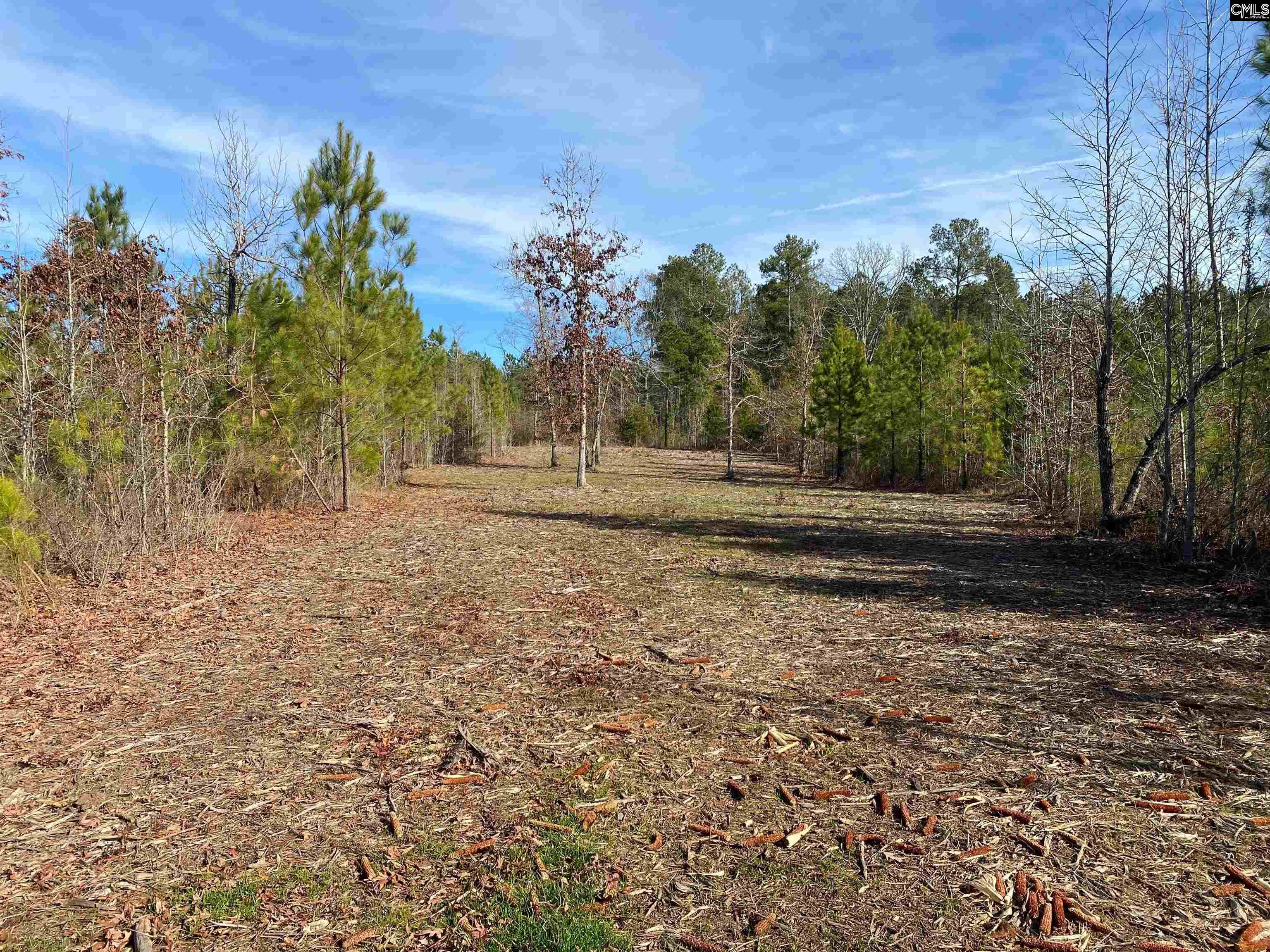 900 Piney Wood Road Saluda, SC 29138