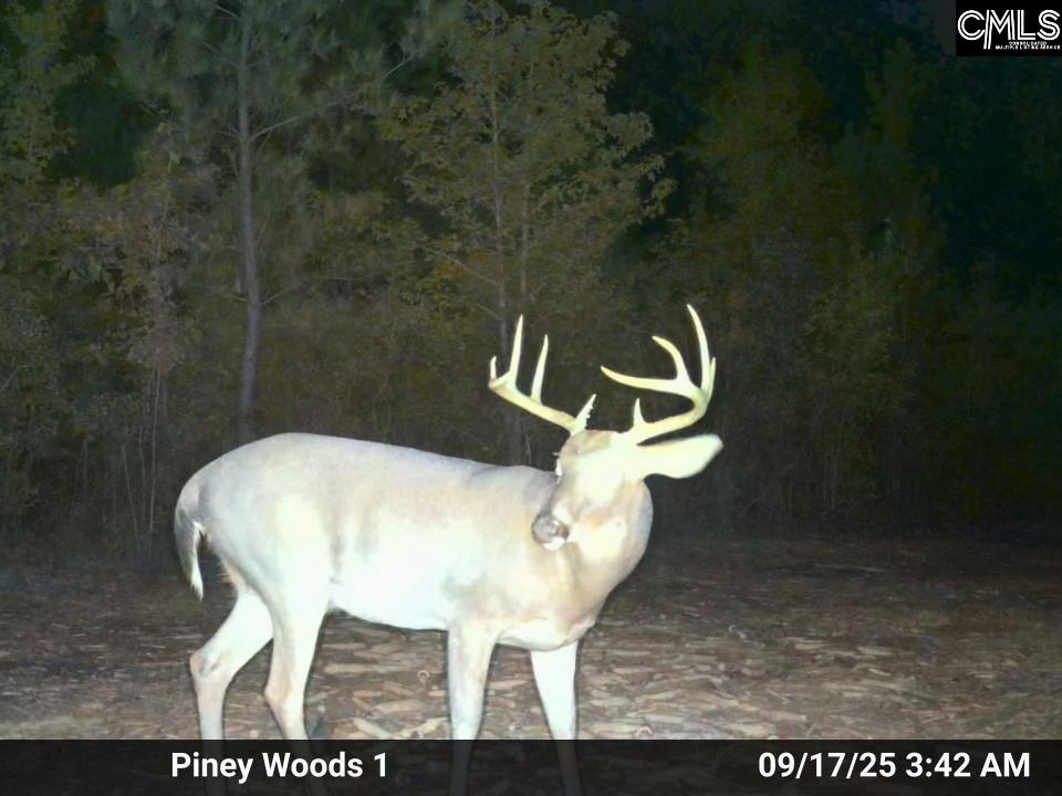 900 Piney Wood Road Saluda, SC 29138