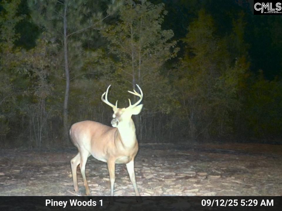 900 Piney Wood Road Saluda, SC 29138