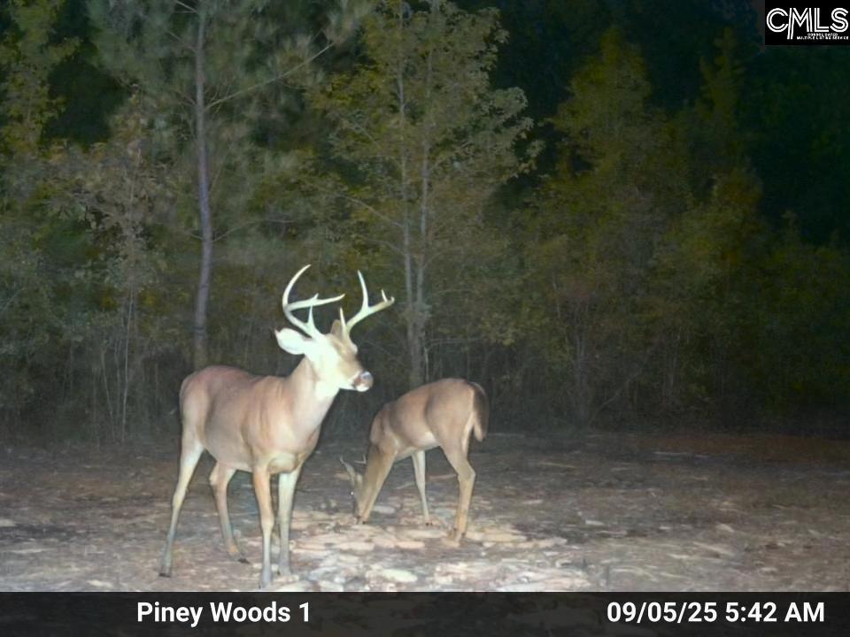 900 Piney Wood Road Saluda, SC 29138