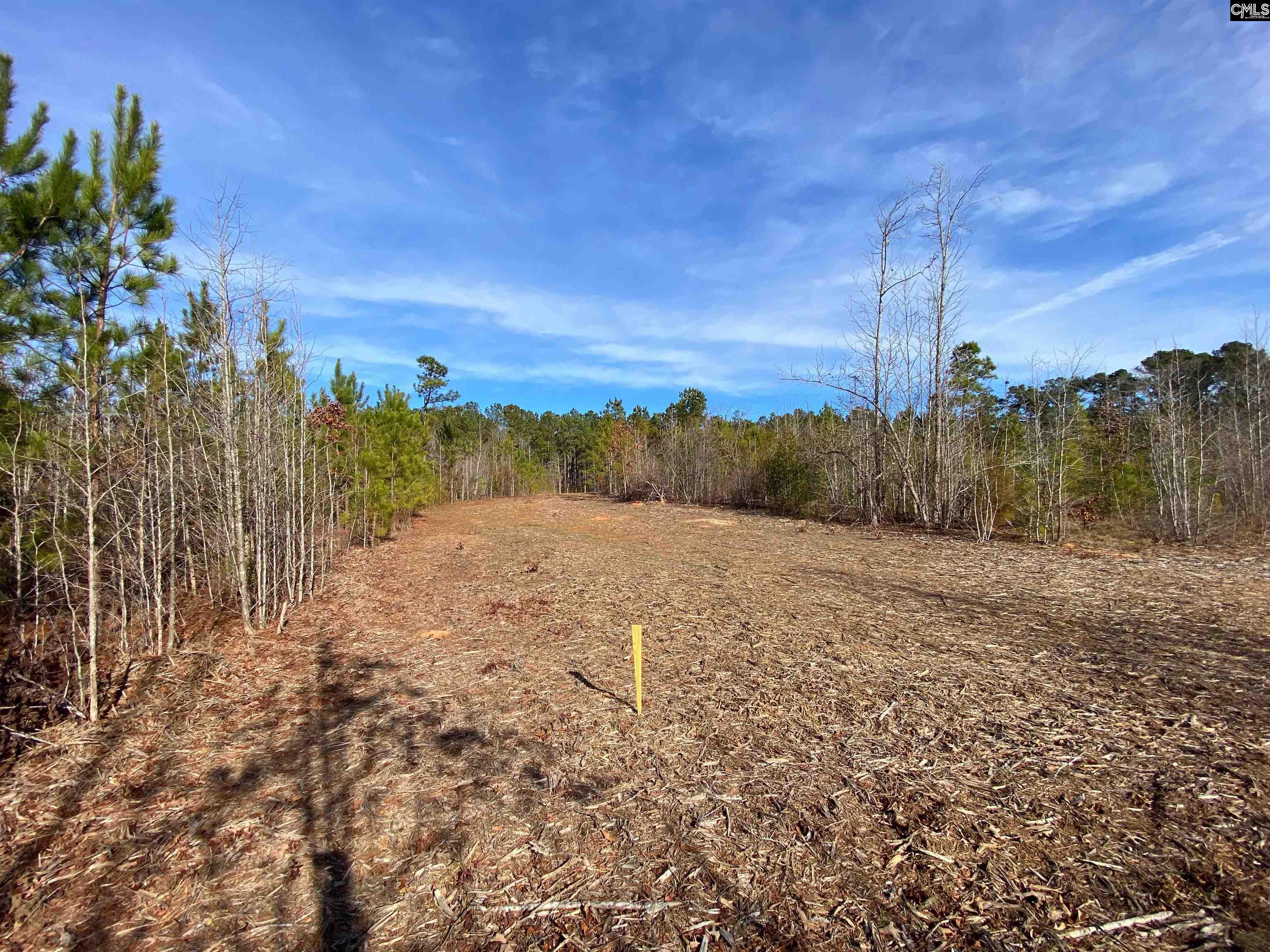 900 Piney Wood Road Saluda, SC 29138
