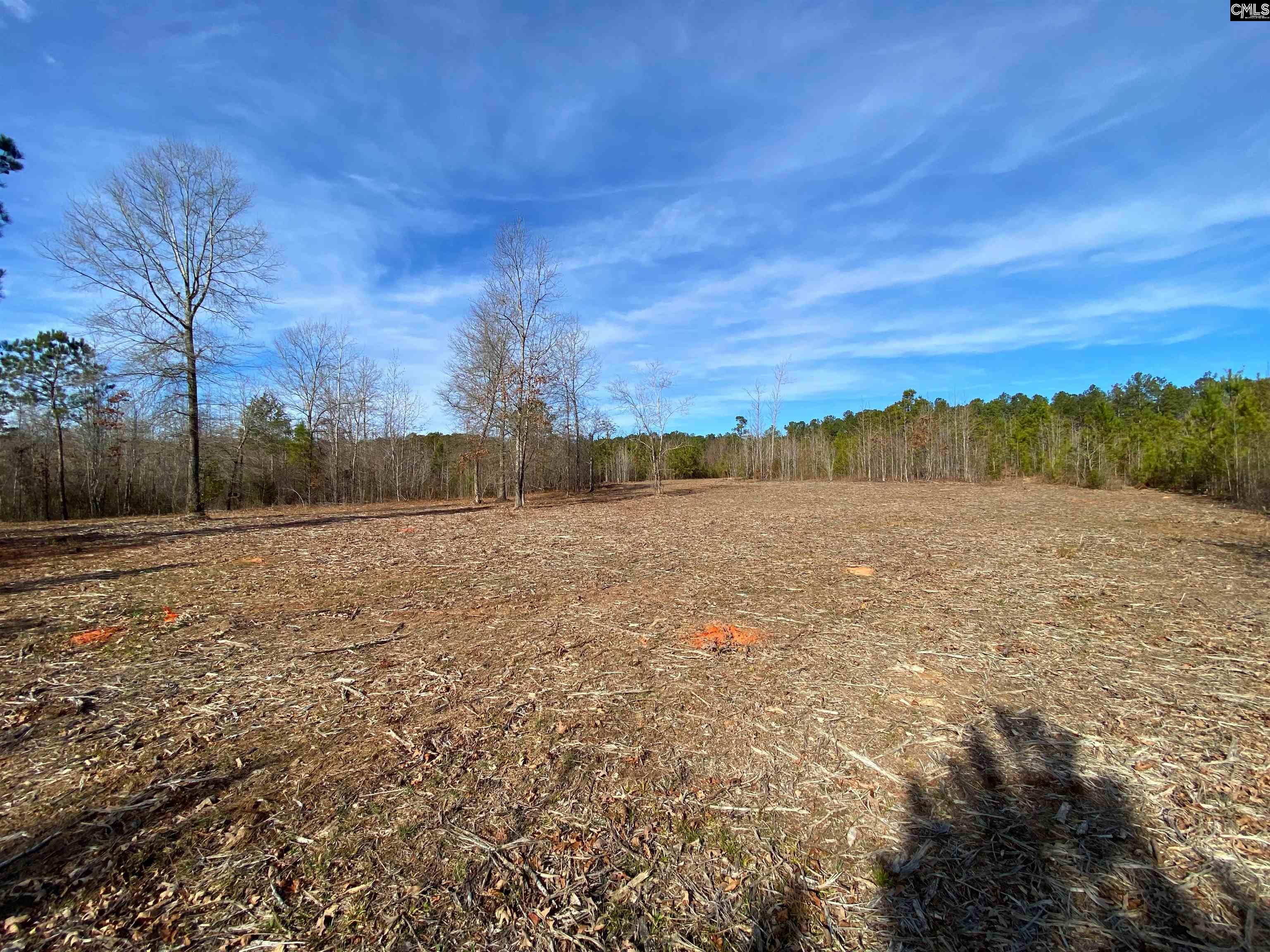 900 Piney Wood Road Saluda, SC 29138
