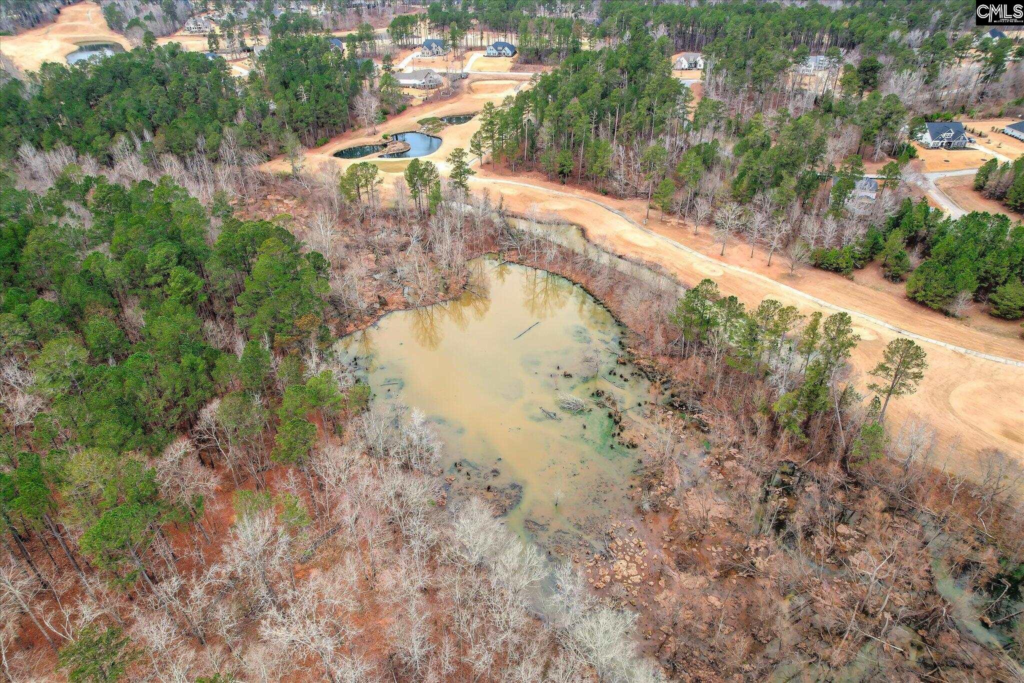335 Mount Vintage Plantation Drive North Augusta, SC 29860