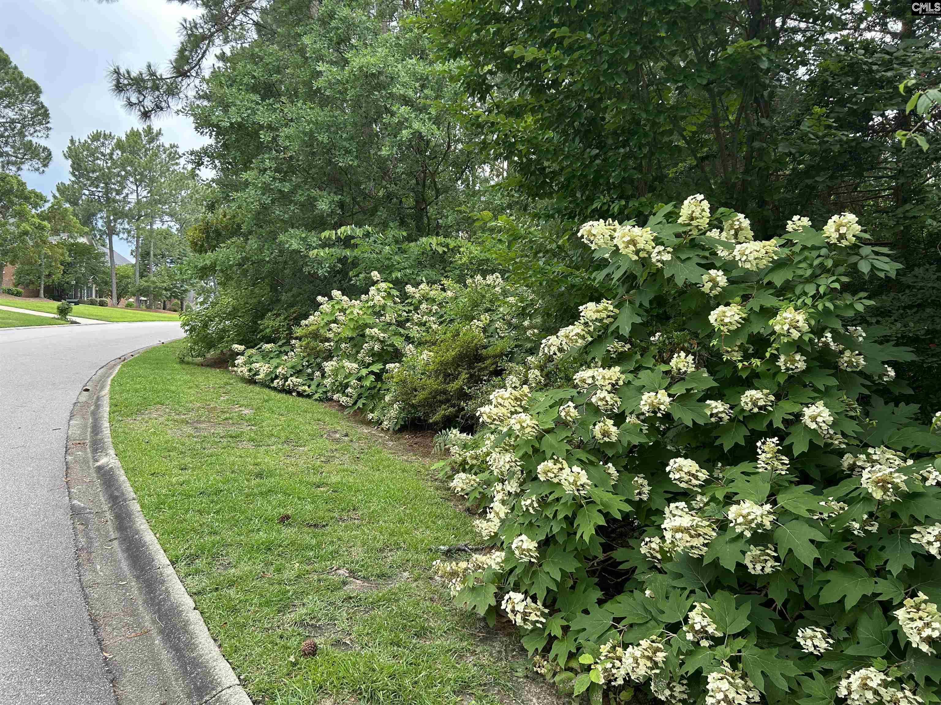 310 Aiken Hunt Circle Columbia, SC 29223