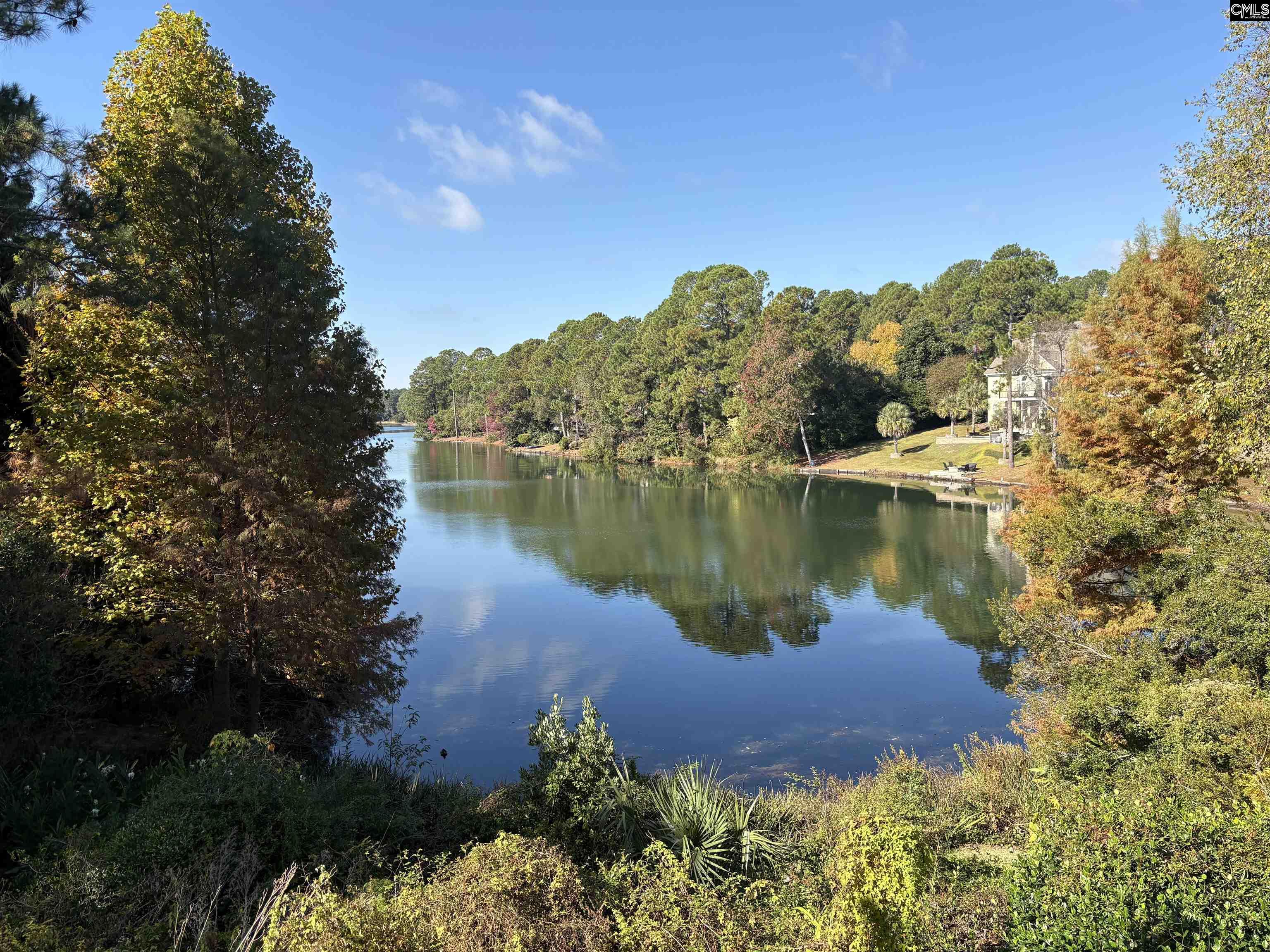 310 Aiken Hunt Circle Columbia, SC 29223