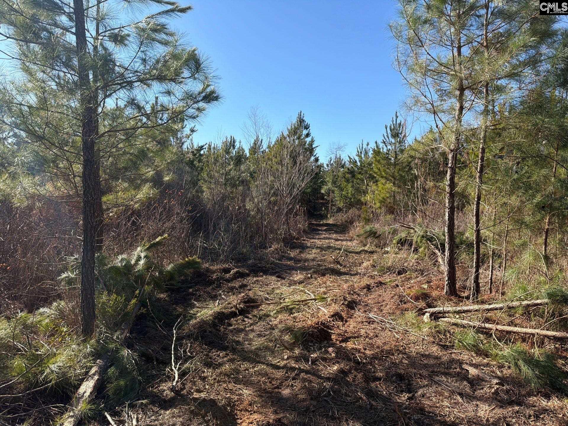 BFF II 8 Brunson Teal Road Patrick, SC 29854