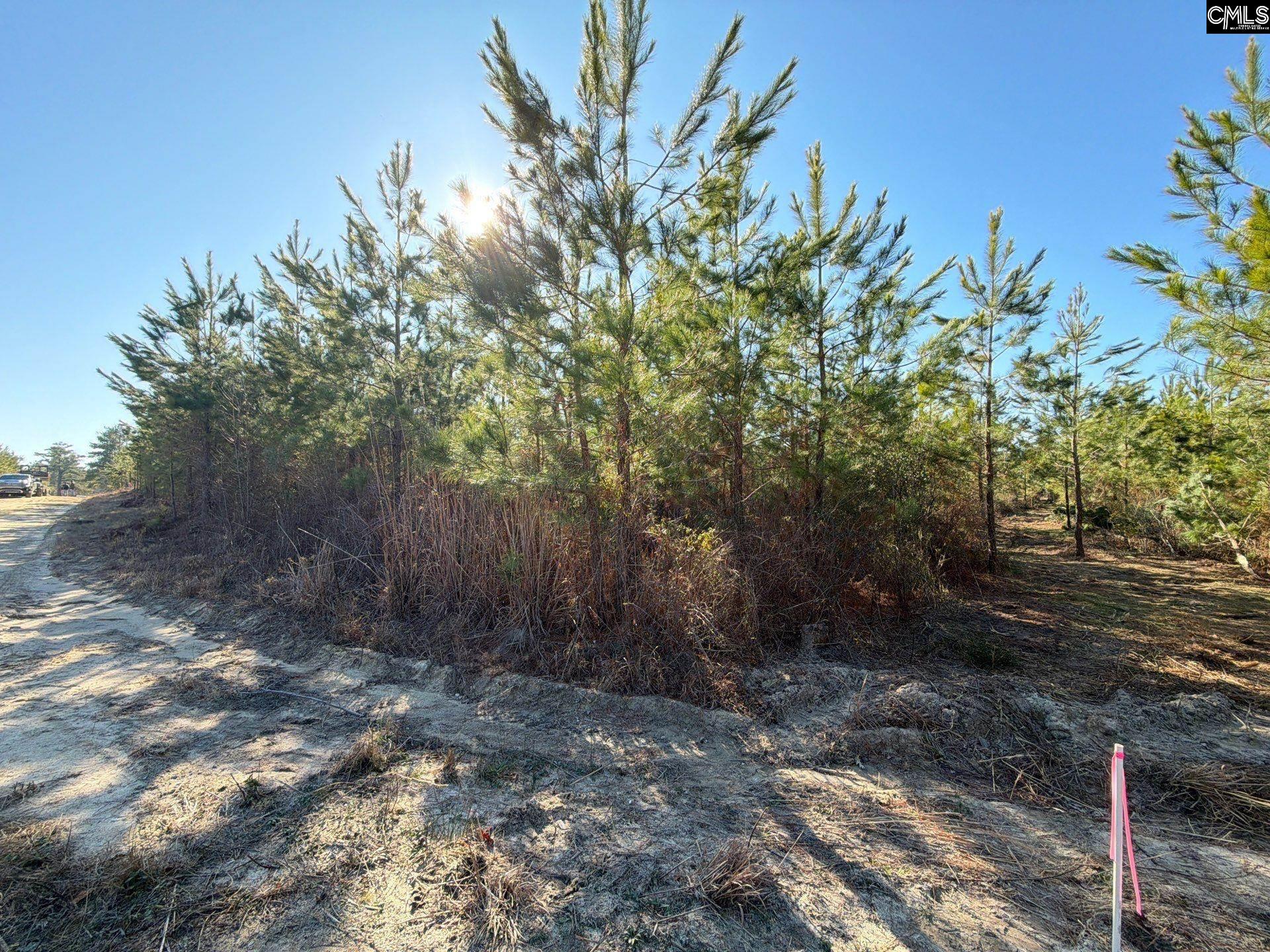 BFF II 8 Brunson Teal Road Patrick, SC 29854