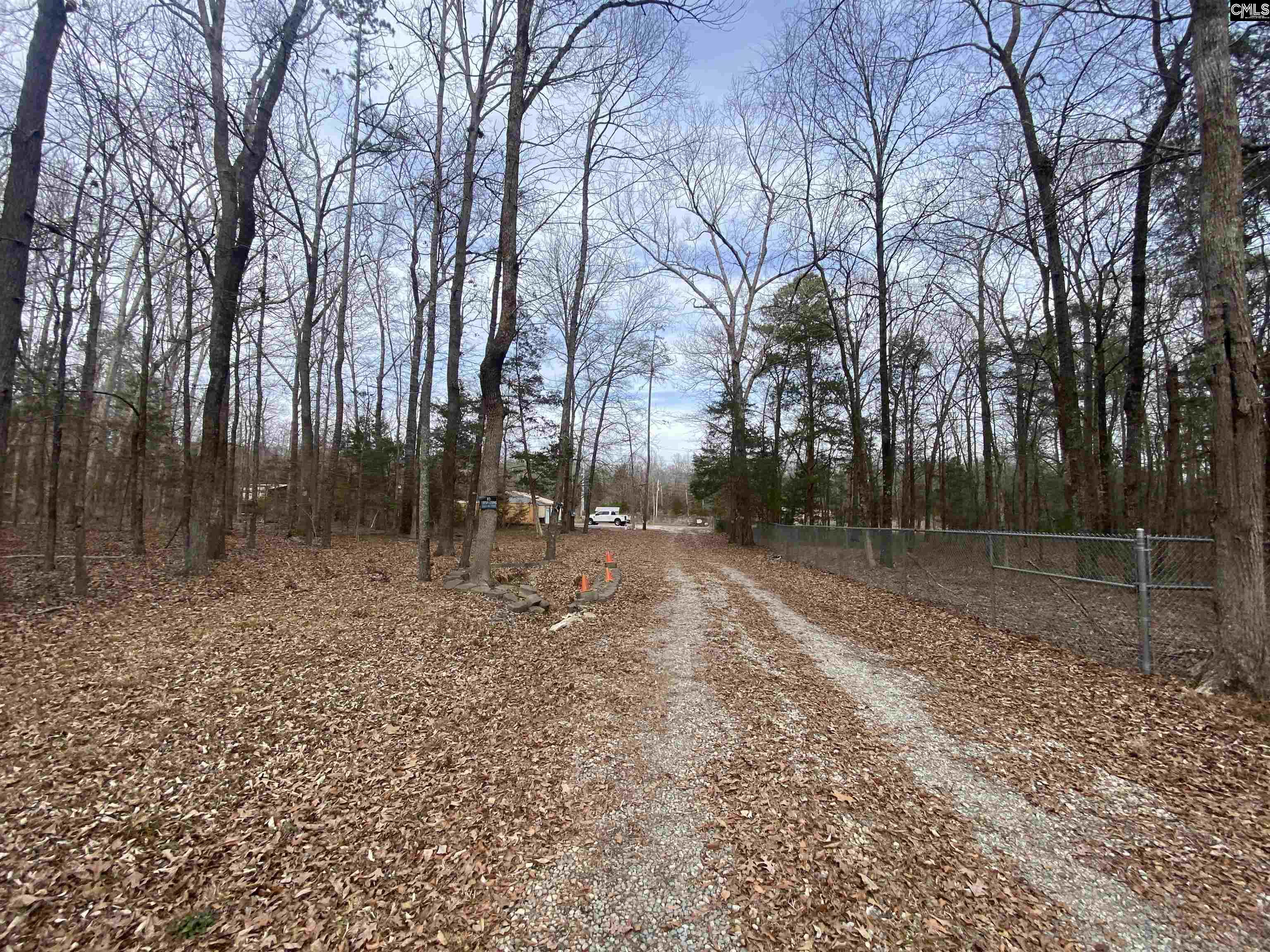 1160 Bookie Richardson Road Chapin, SC 29036