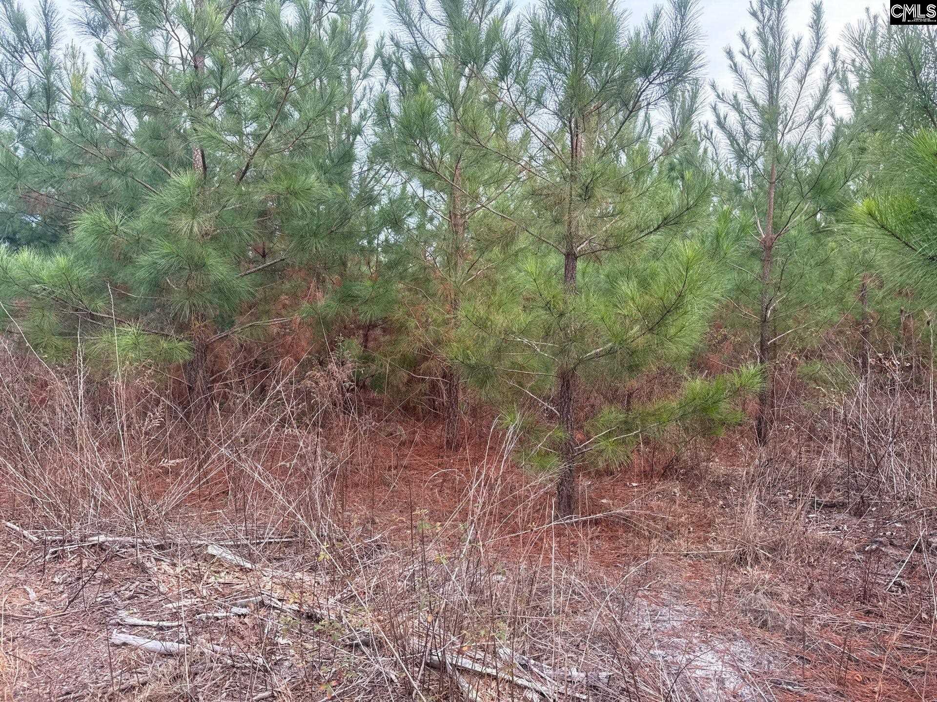 QBF 9 Quattlebaum Road Leesville, SC 29070
