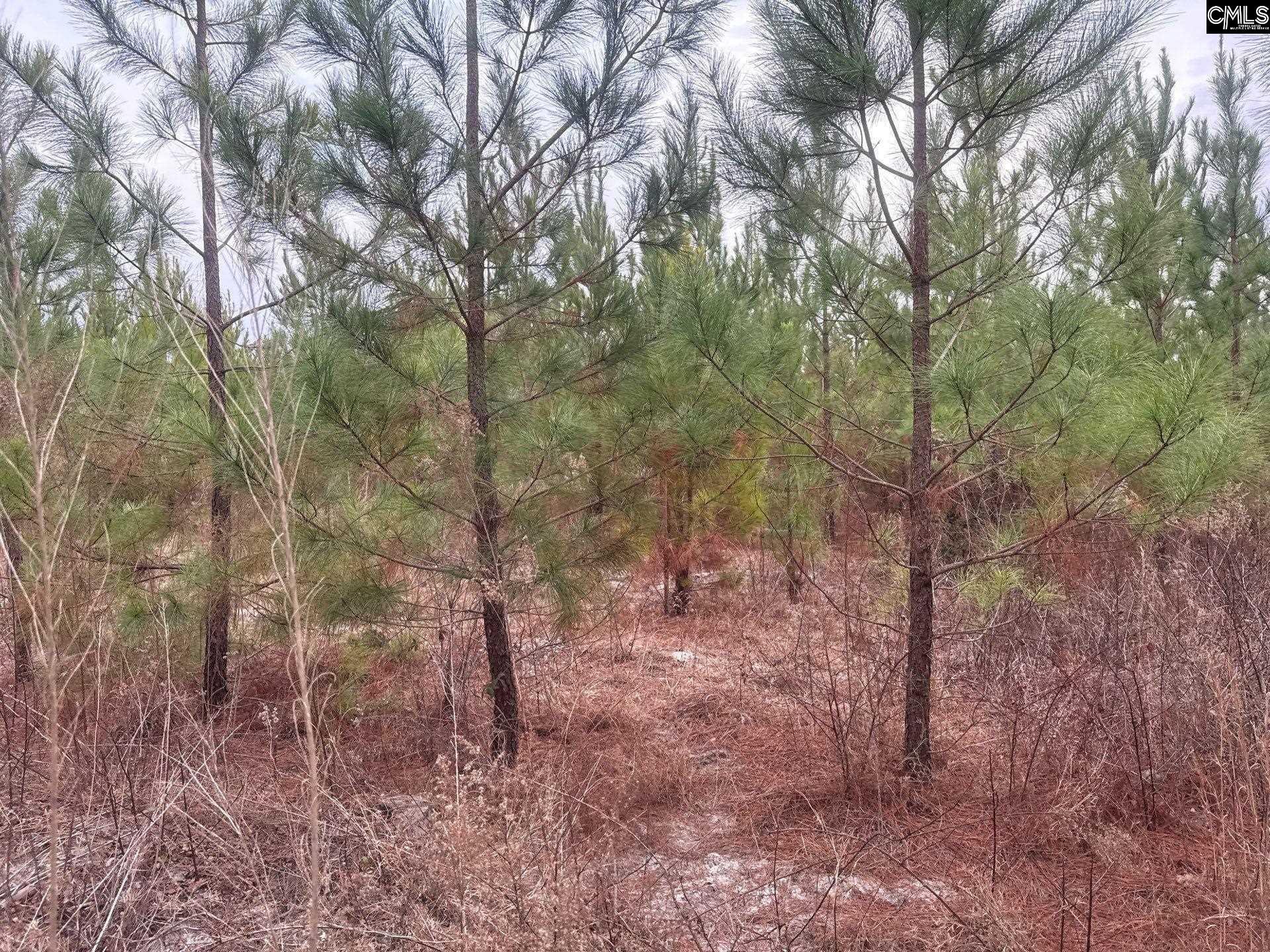 QBF 9 Quattlebaum Road Leesville, SC 29070