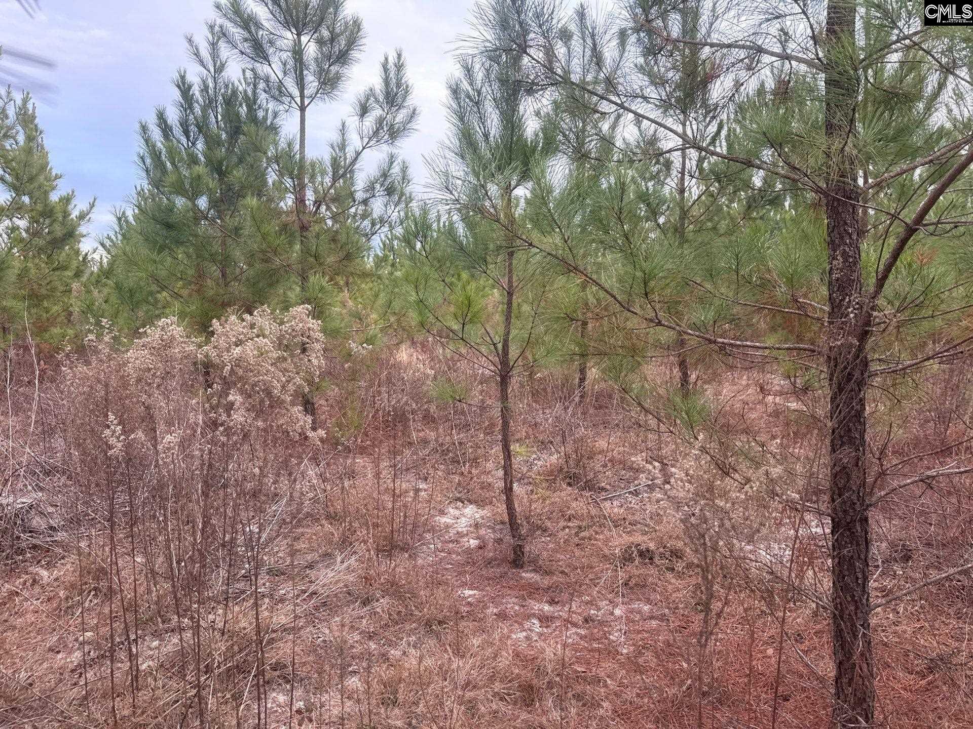 QBF 9 Quattlebaum Road Leesville, SC 29070