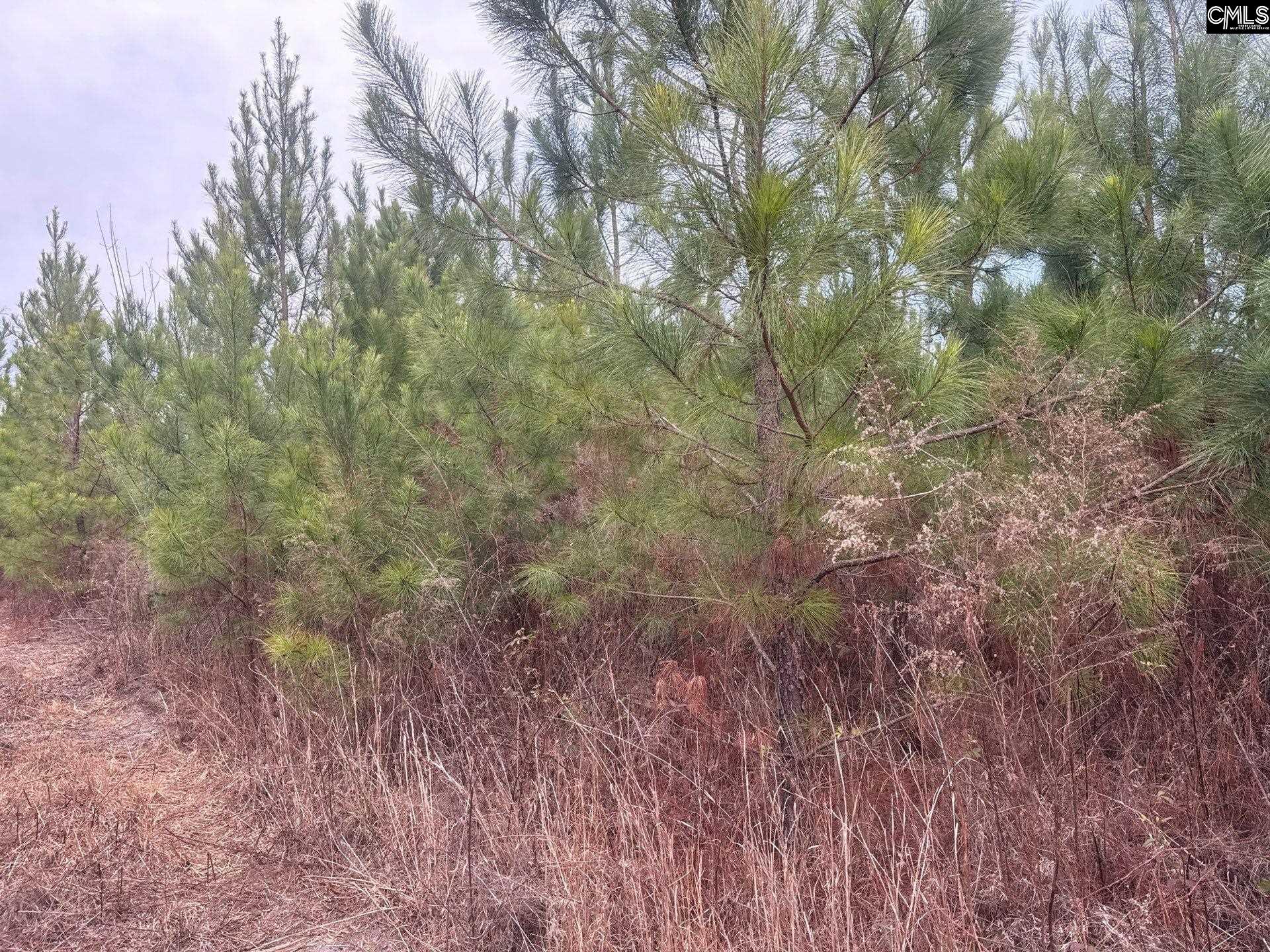QBF 9 Quattlebaum Road Leesville, SC 29070