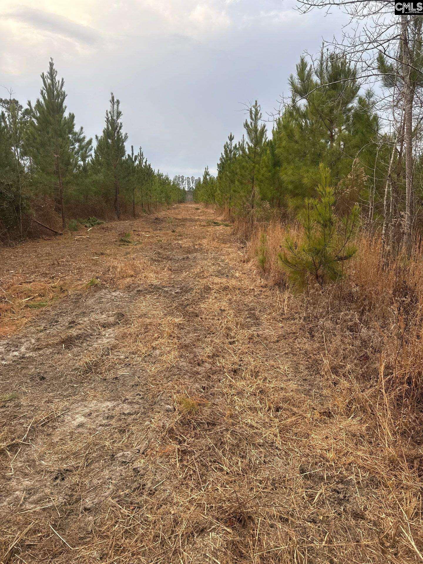 QBF 9 Quattlebaum Road Leesville, SC 29070