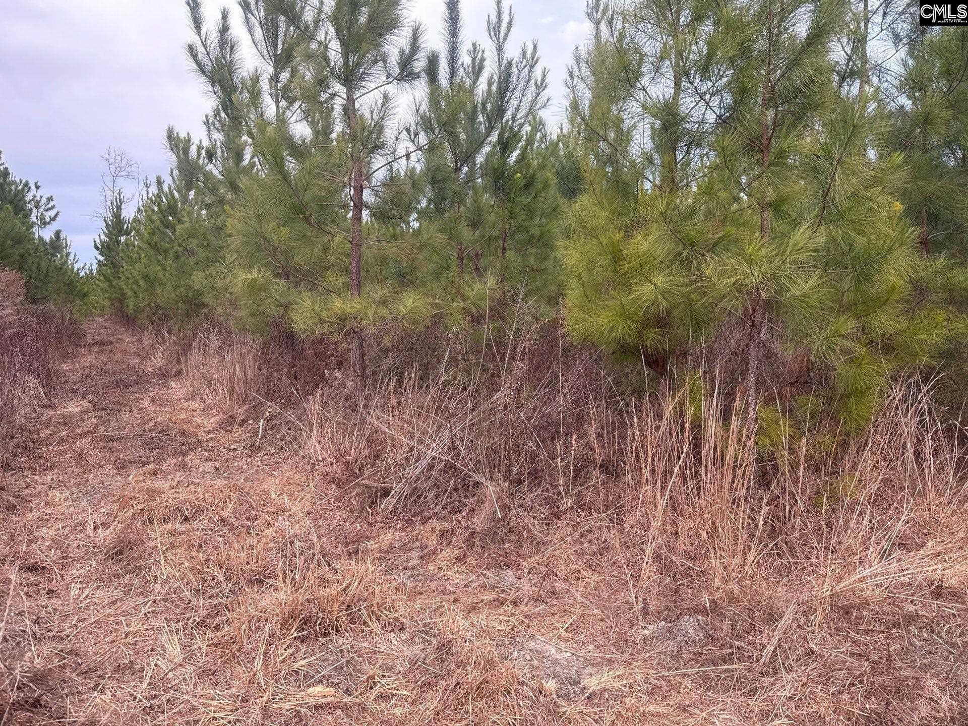 QBF 9 Quattlebaum Road Leesville, SC 29070